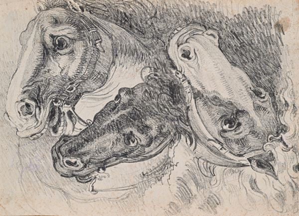 Studi di teste di cavalli