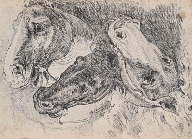 Studi di teste di cavalli