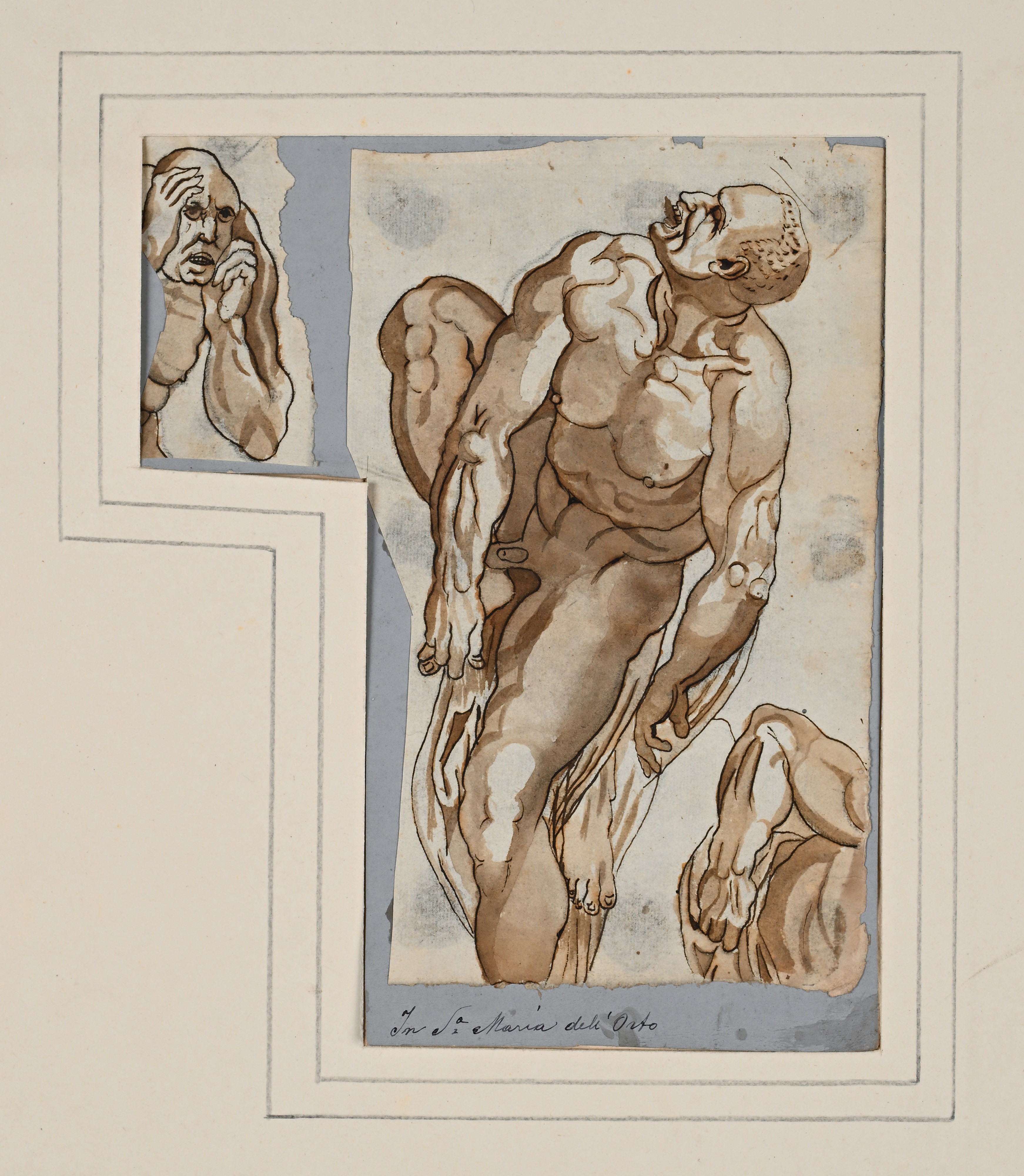 Studi dagli affreschi di Santa Maria dell'Orto