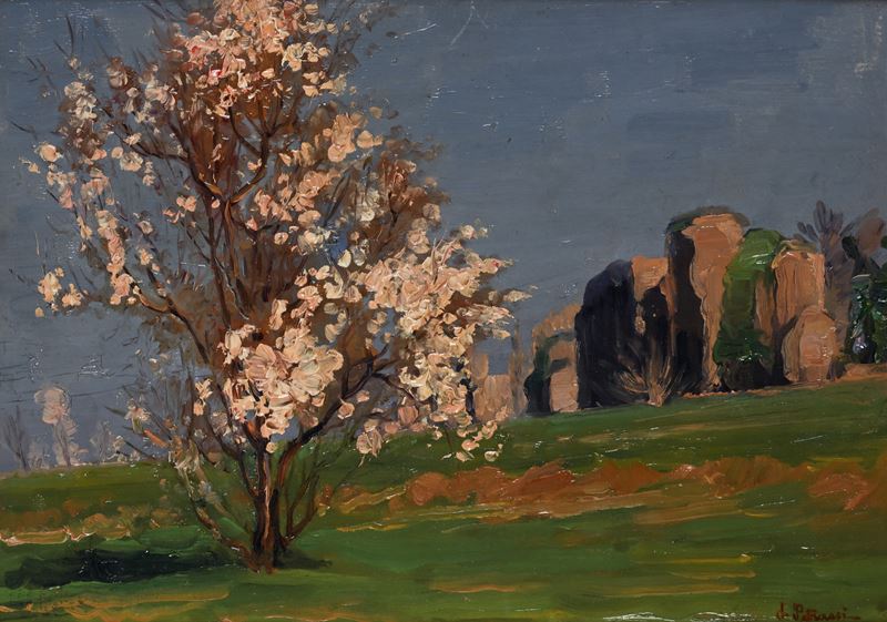 Roma, Ciliegio in fiore presso le mura aureliane