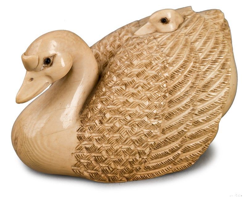 Cigno in Avorio