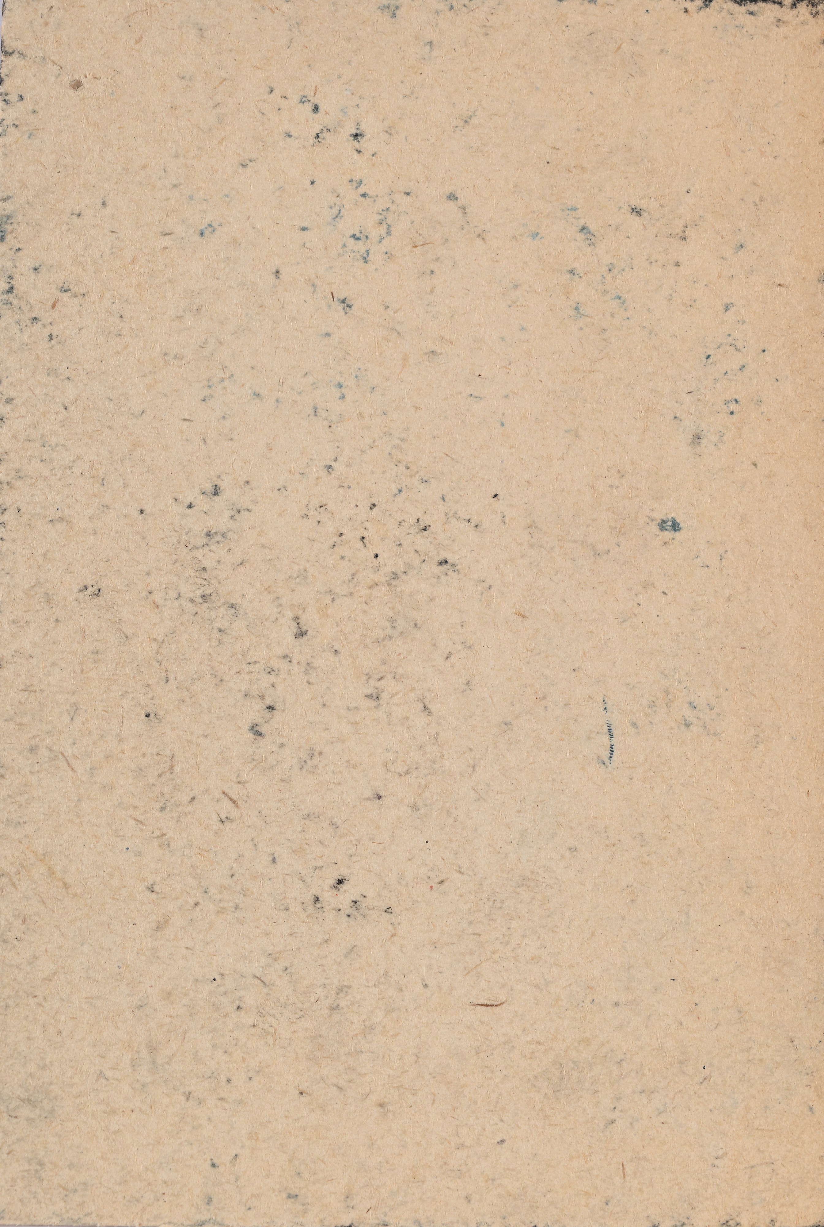 Elisa Montessori - Senza titolo (inchiostro, acquarello e collage su cartone)