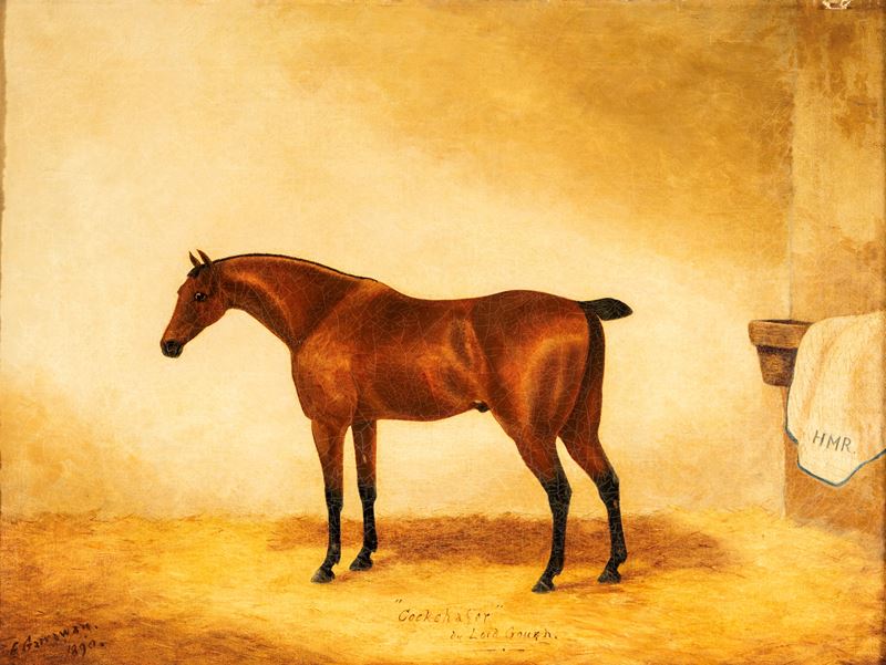 Cockchafer by Lord Gouzh