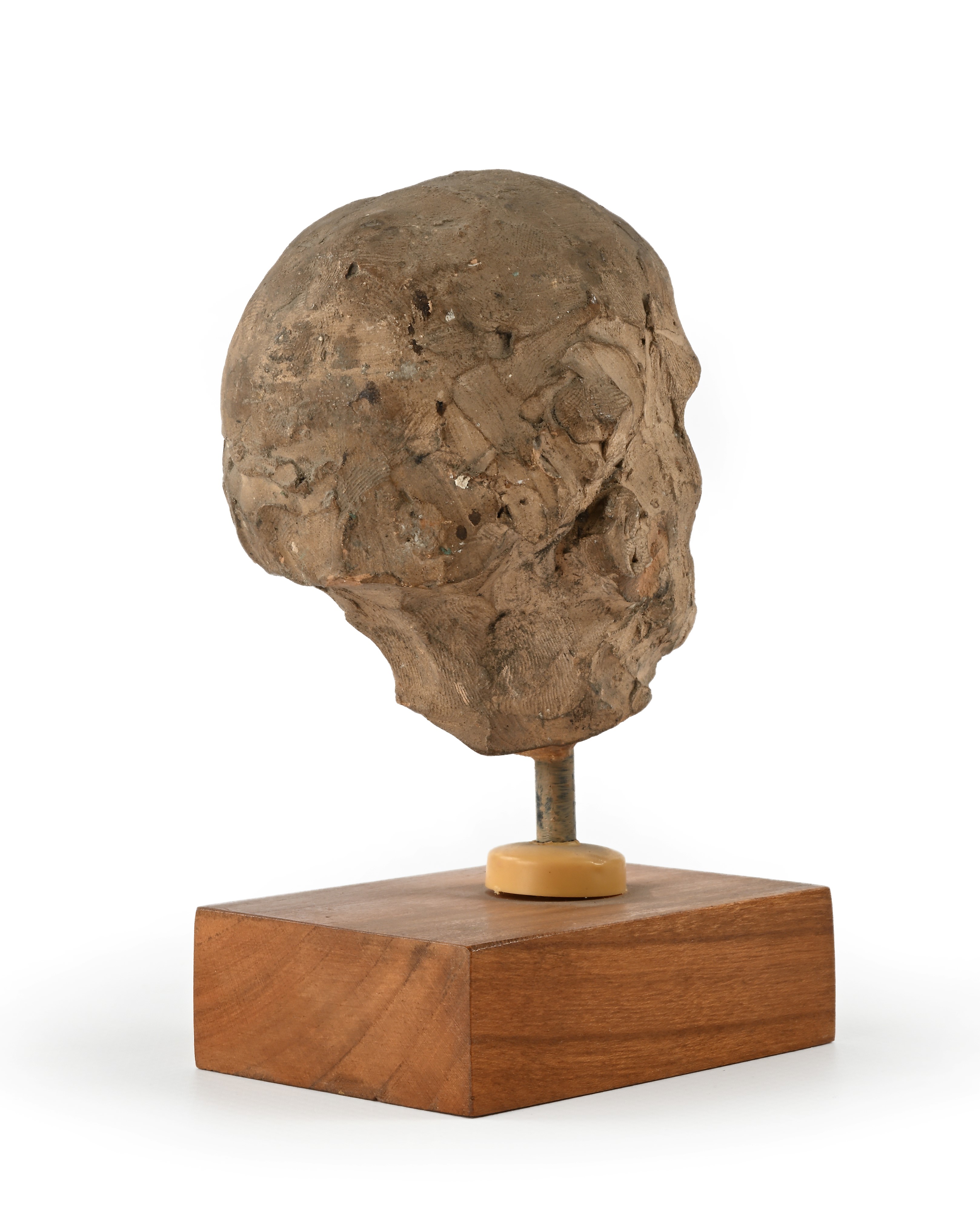 Testina in terracotta, piccola scultura su base in legno