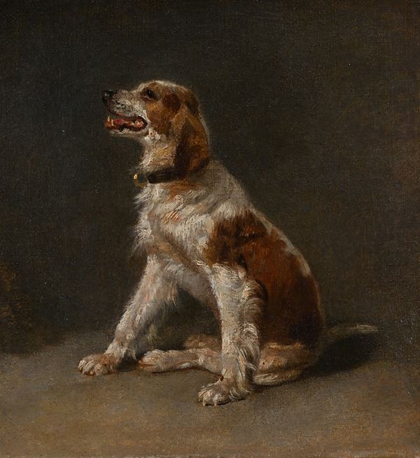 Cane da caccia