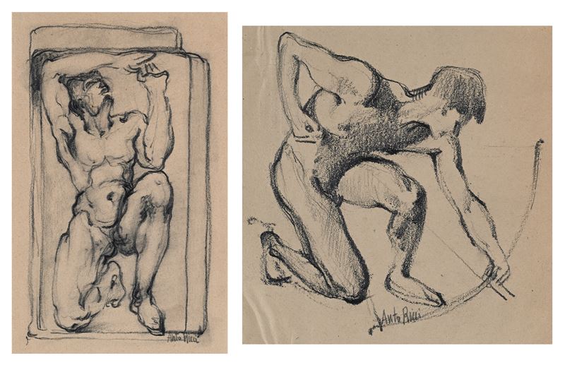 Studio di Arciere - Studio di telamone