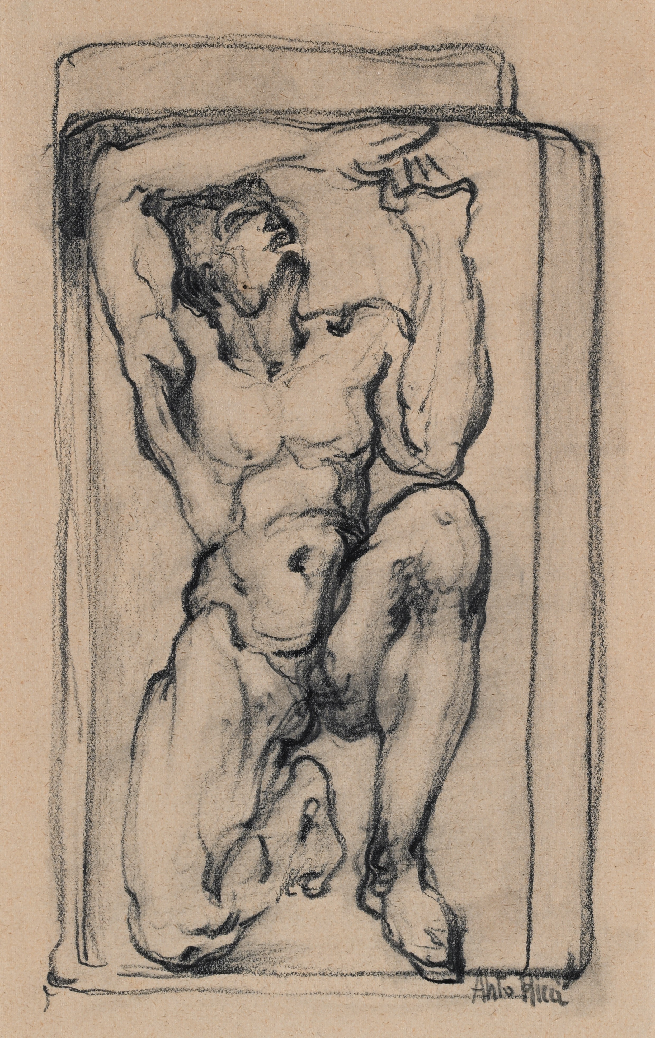 Studio di Arciere - Studio di telamone