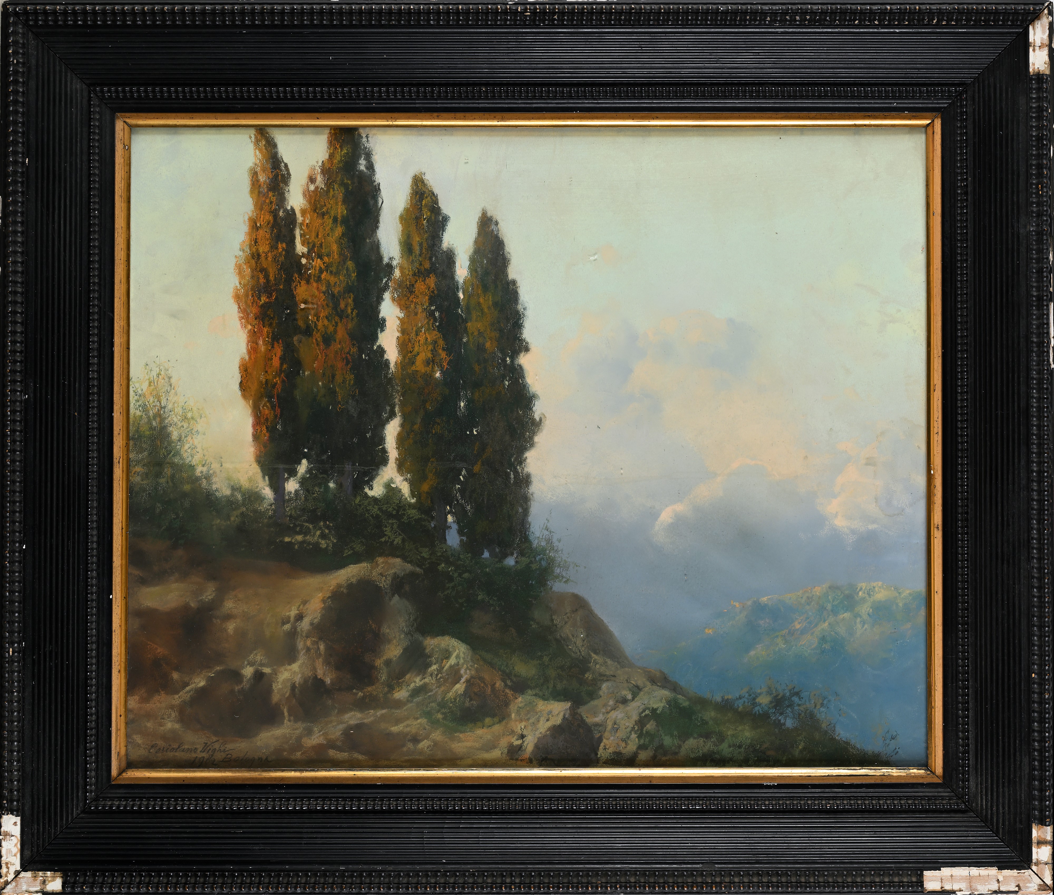 Veduta dei colli bolognesi