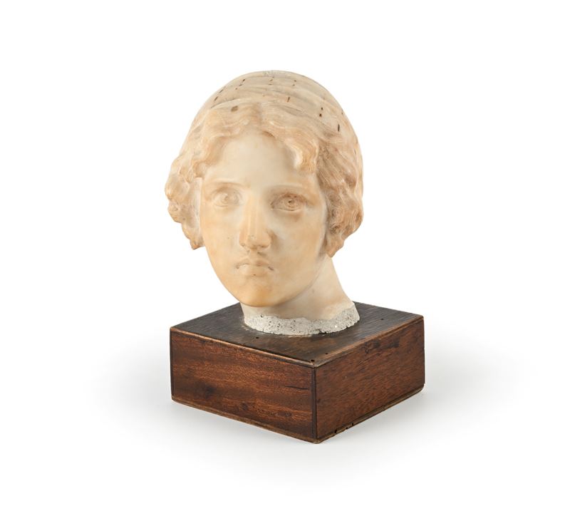 Testa di "Mignon"