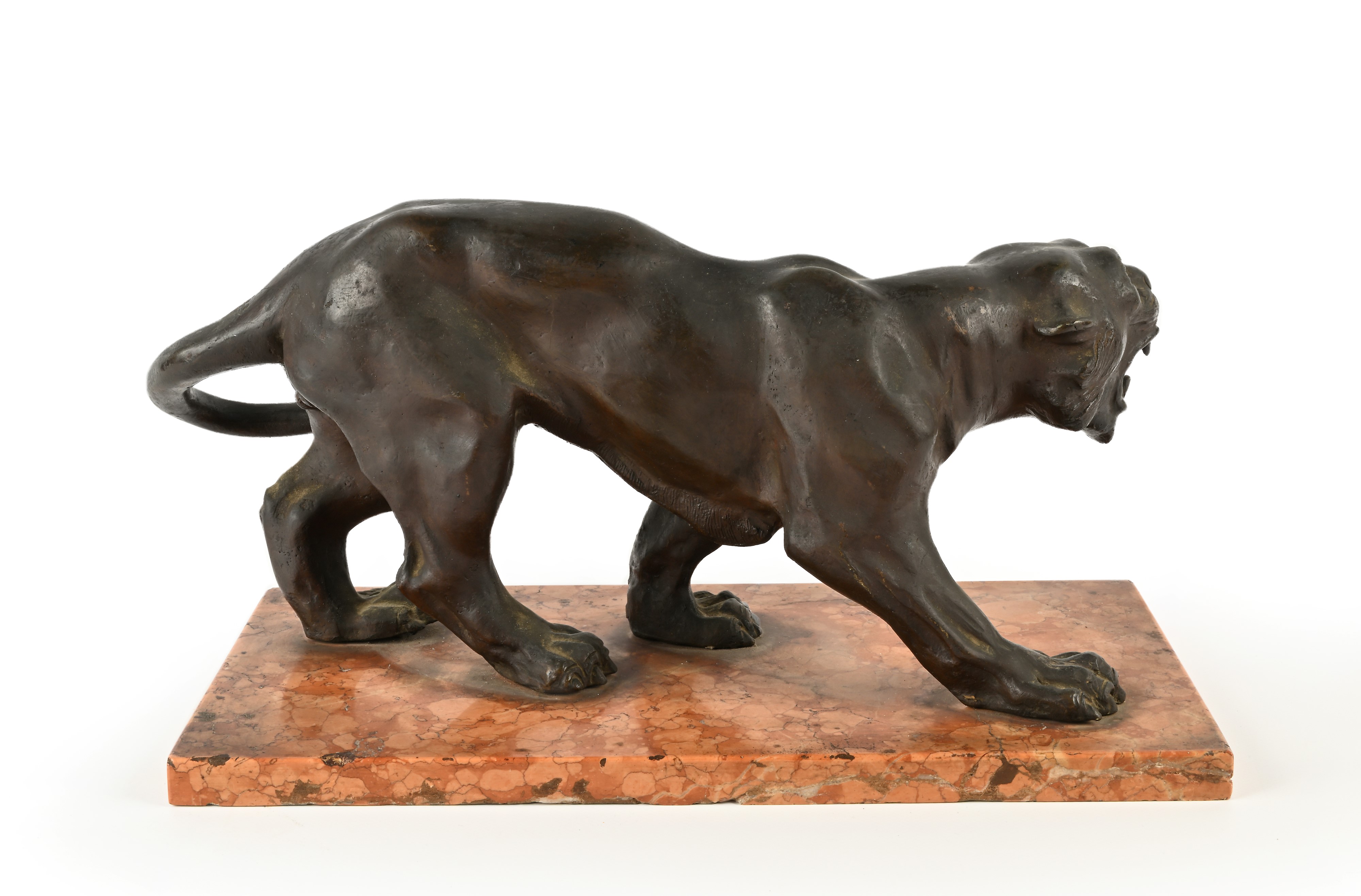 Tigre ruggente, bronzo su base in marmo di Verona, inizi del XX secolo