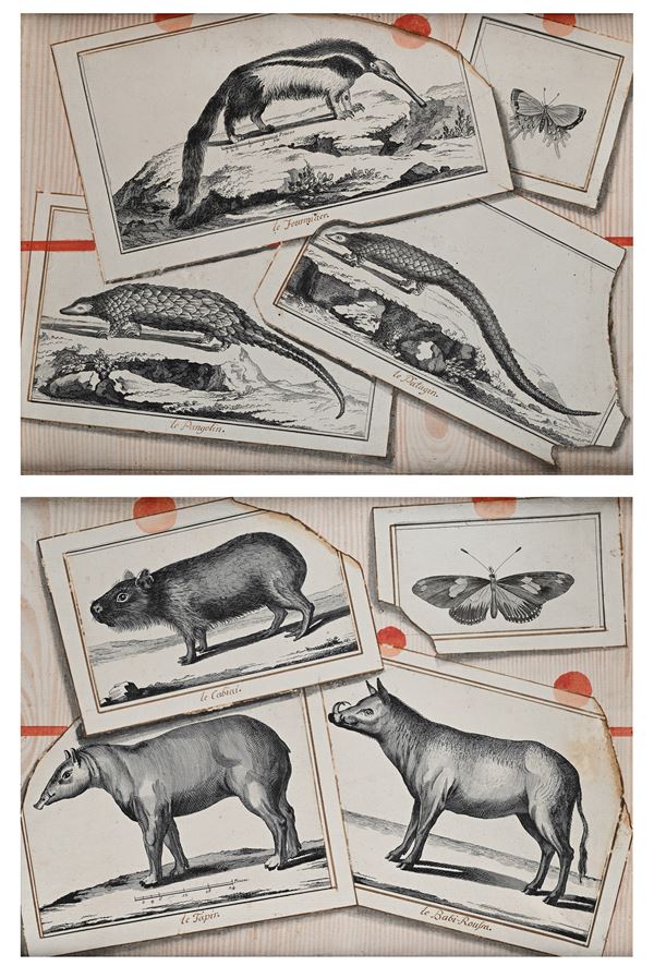 Coppia di trompe l'oeil