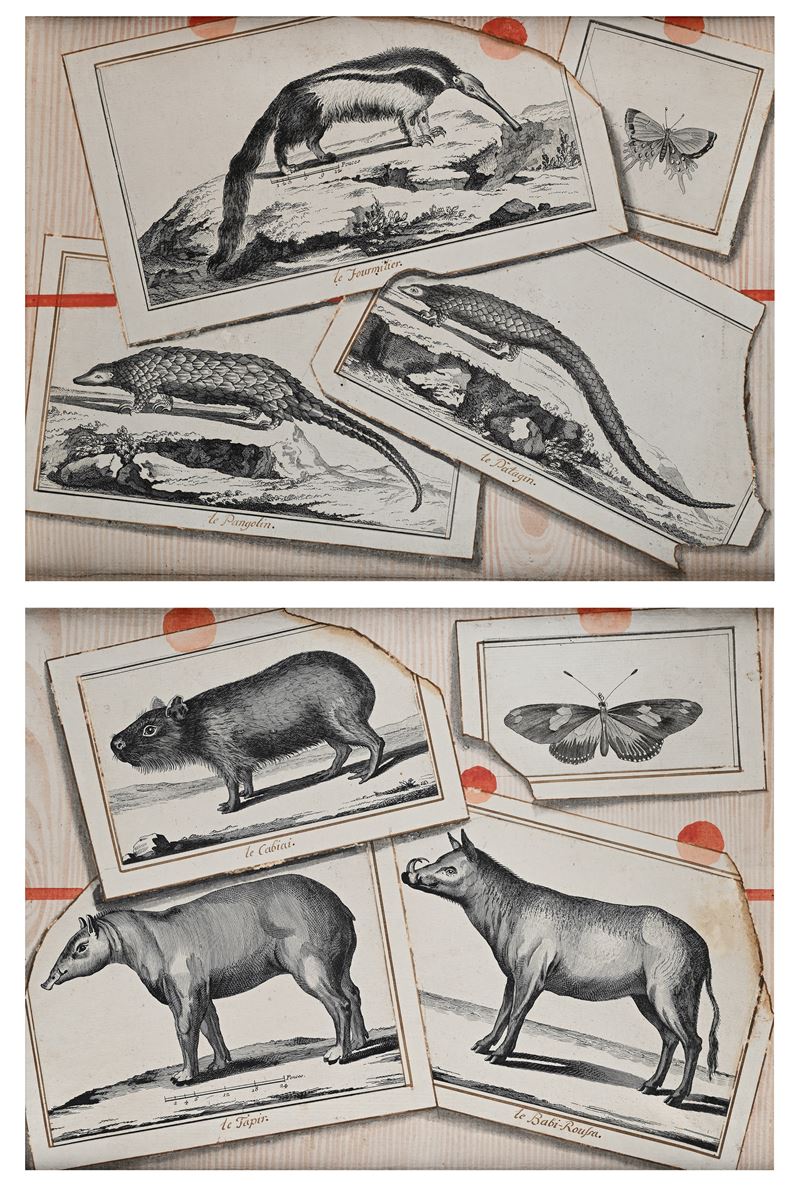 Coppia di trompe l'oeil