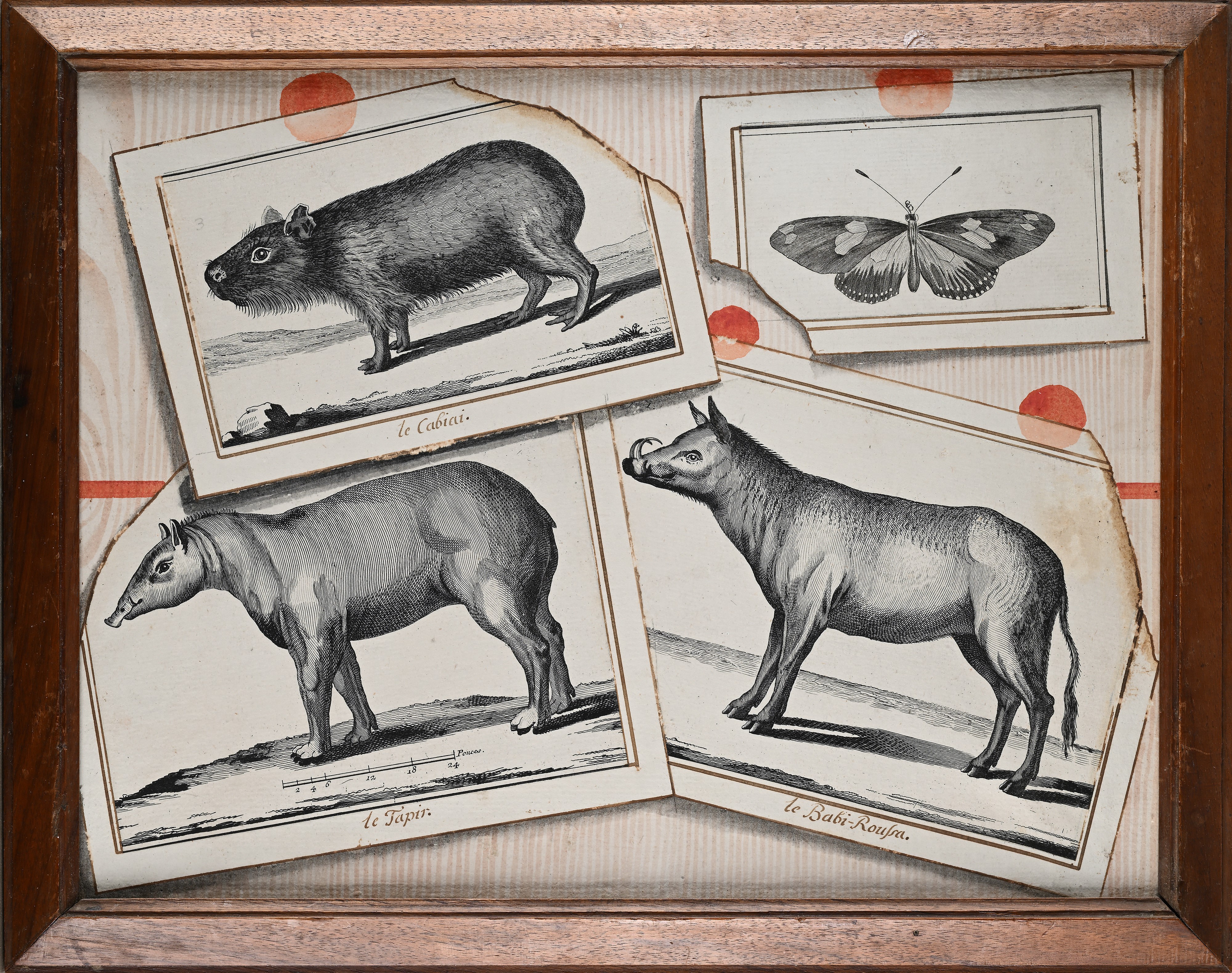 Coppia di trompe l'oeil