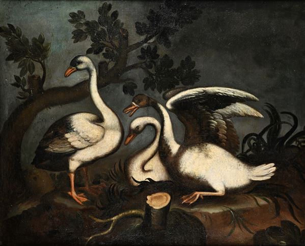 Natura morta con cigni