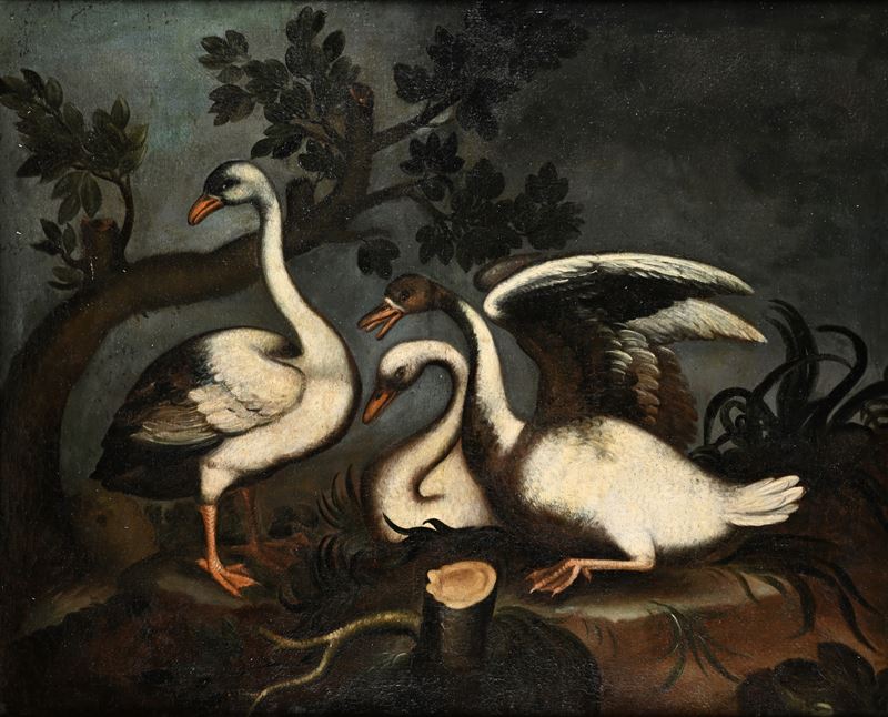 Natura morta con cigni