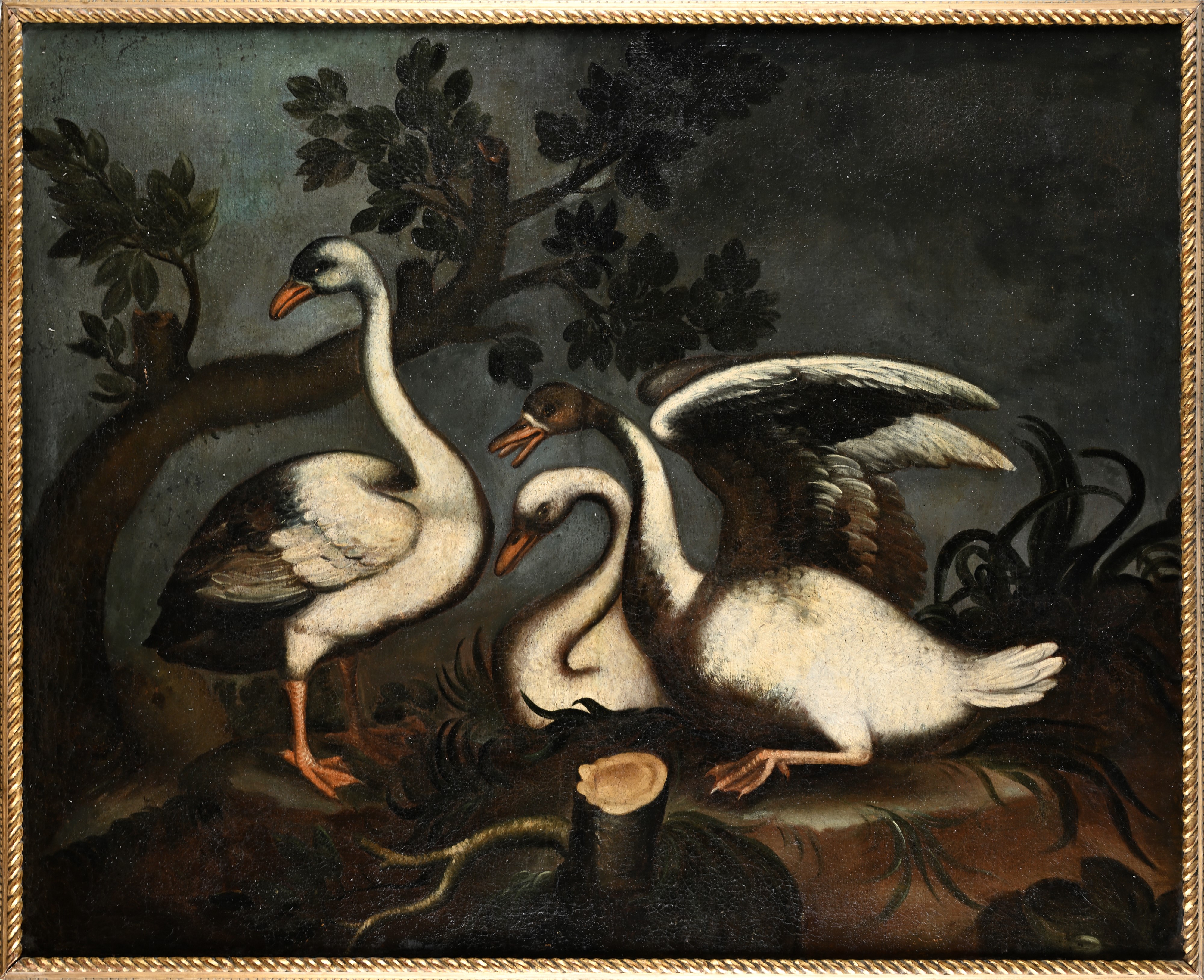 Natura morta con cigni