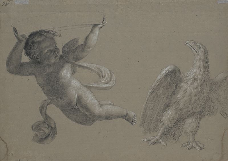 Studio di Putto e aquila