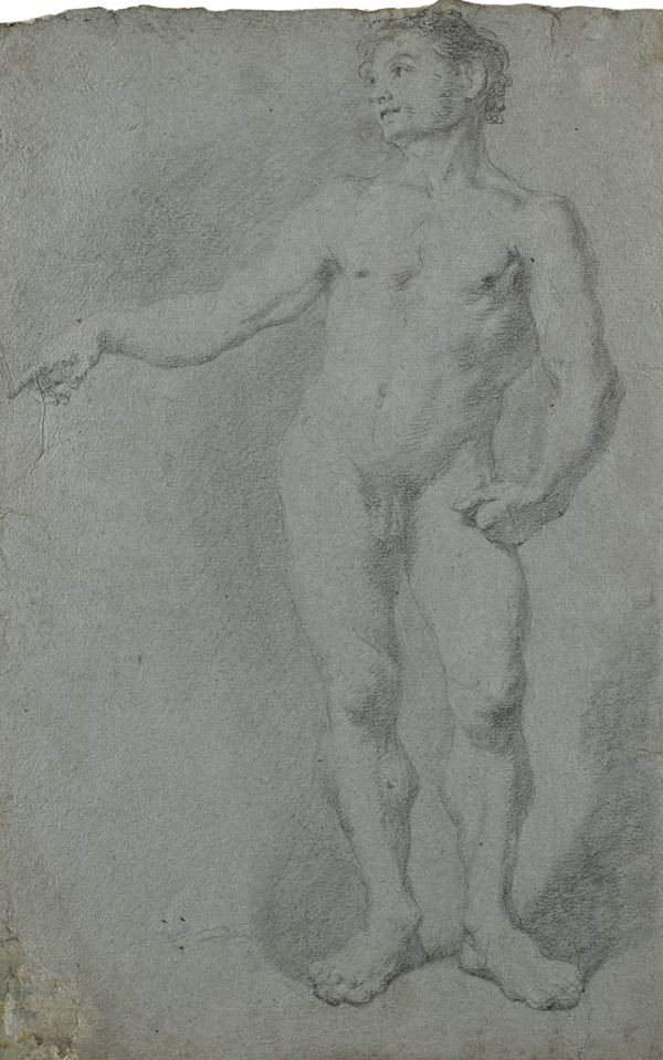 Scuola  Bolognese del XVIII secolo : Studio di nudo accademico  - Pietra nera con rialzi di gessetto bianco su carta azzurra - Auction Works on Paper - from the 16th to the 19th century - Casa d'Aste Arcadia