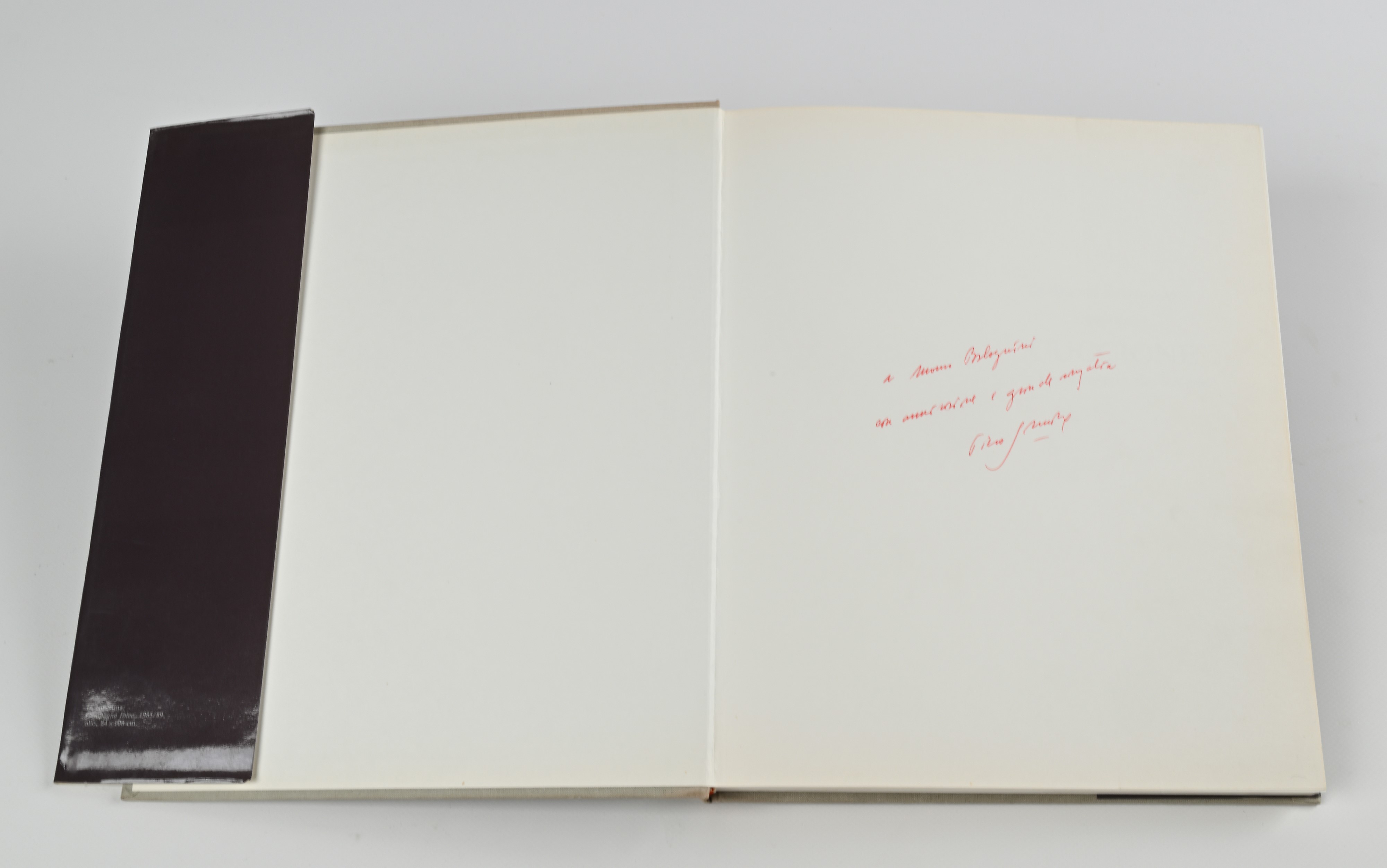 Enzo Siciliano/Susan Sontag - Piero Guccione. Con dedica autografa del Maestro Guccione a Mauro B...