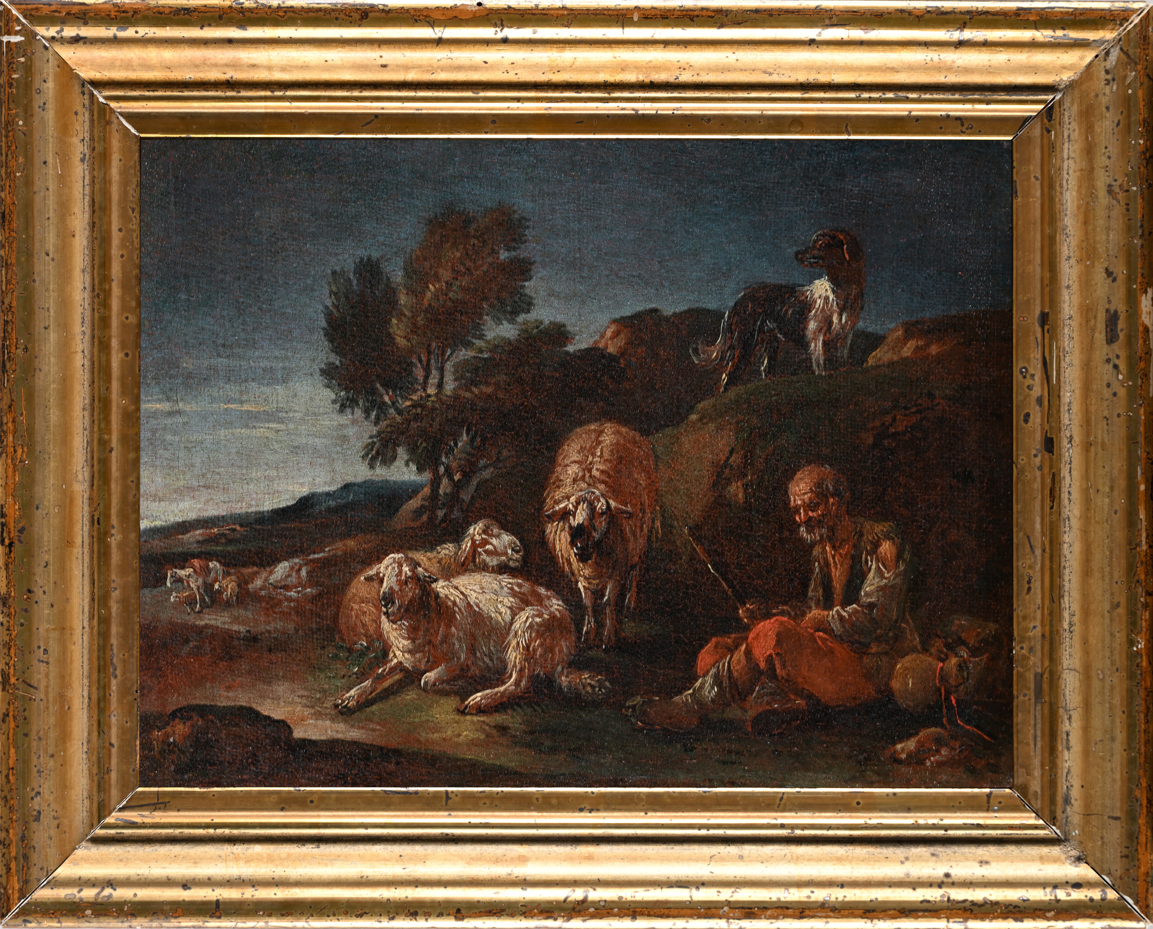 Pastore anziano con gregge