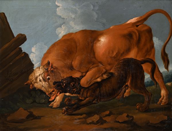 Lotta tra cane e toro Firmato J Roos fecit e datato 1703