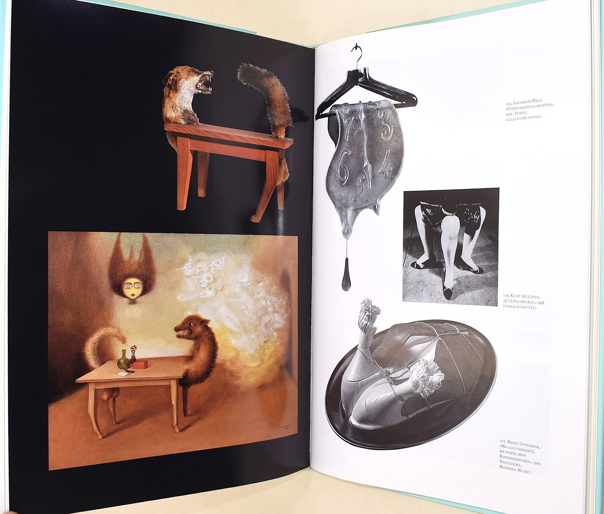Lugli, Adalgisa: Le stanze delle meraviglie «Wunderkammern», 1997