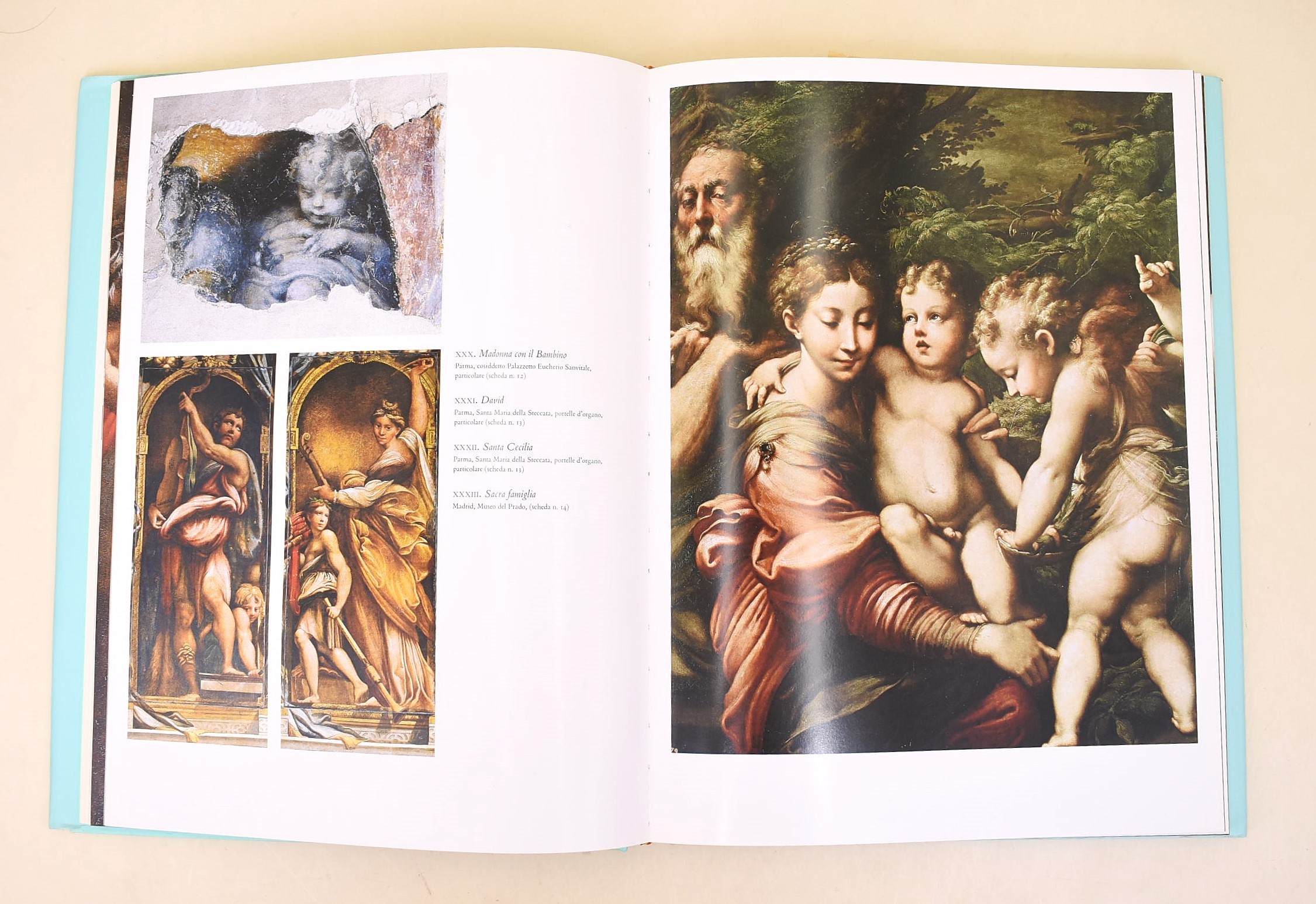 Vaccaro, Mary: Parmigianino. I Dipinti, 2002