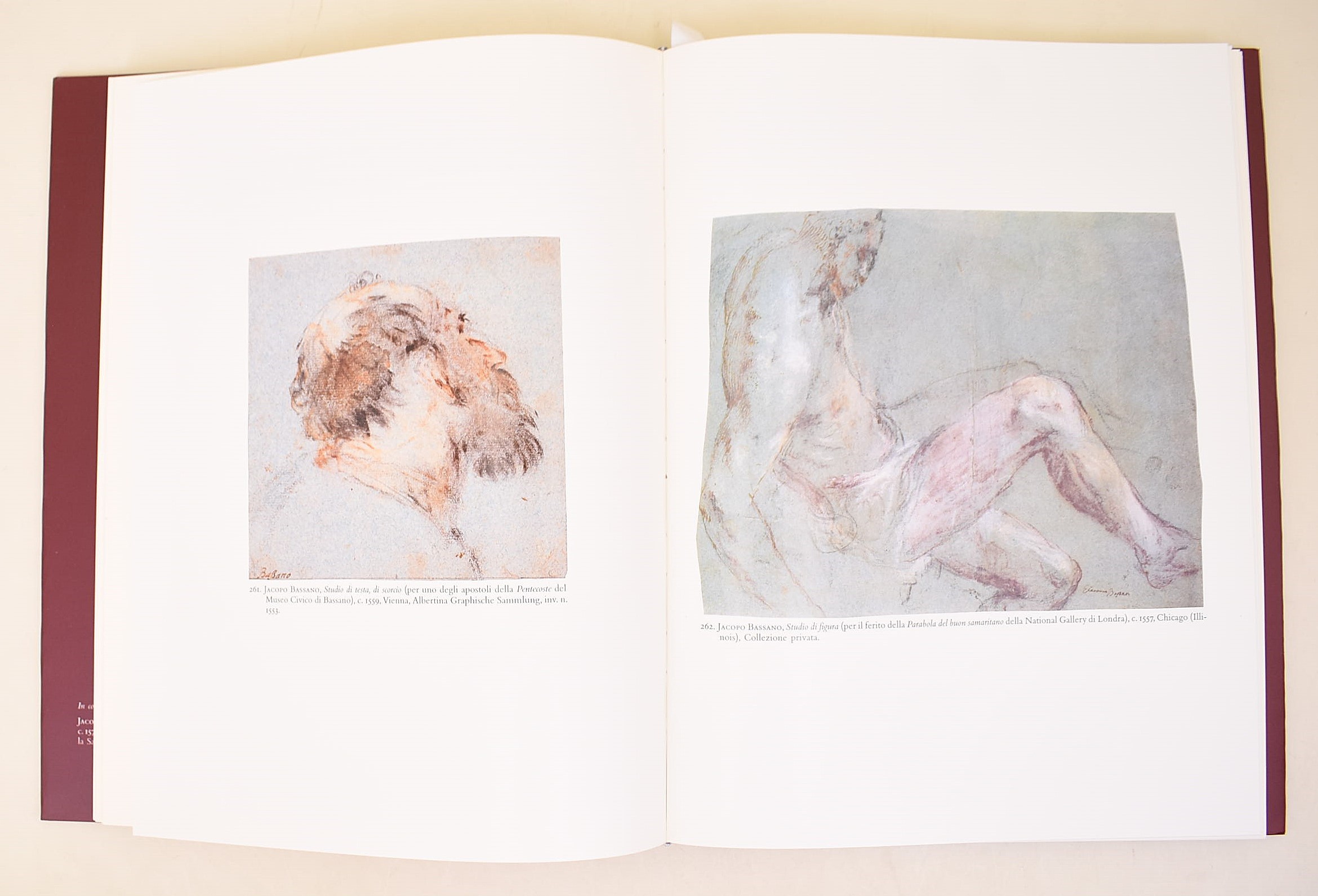 Ballarin, Jacopo Bassano, 1995-1996