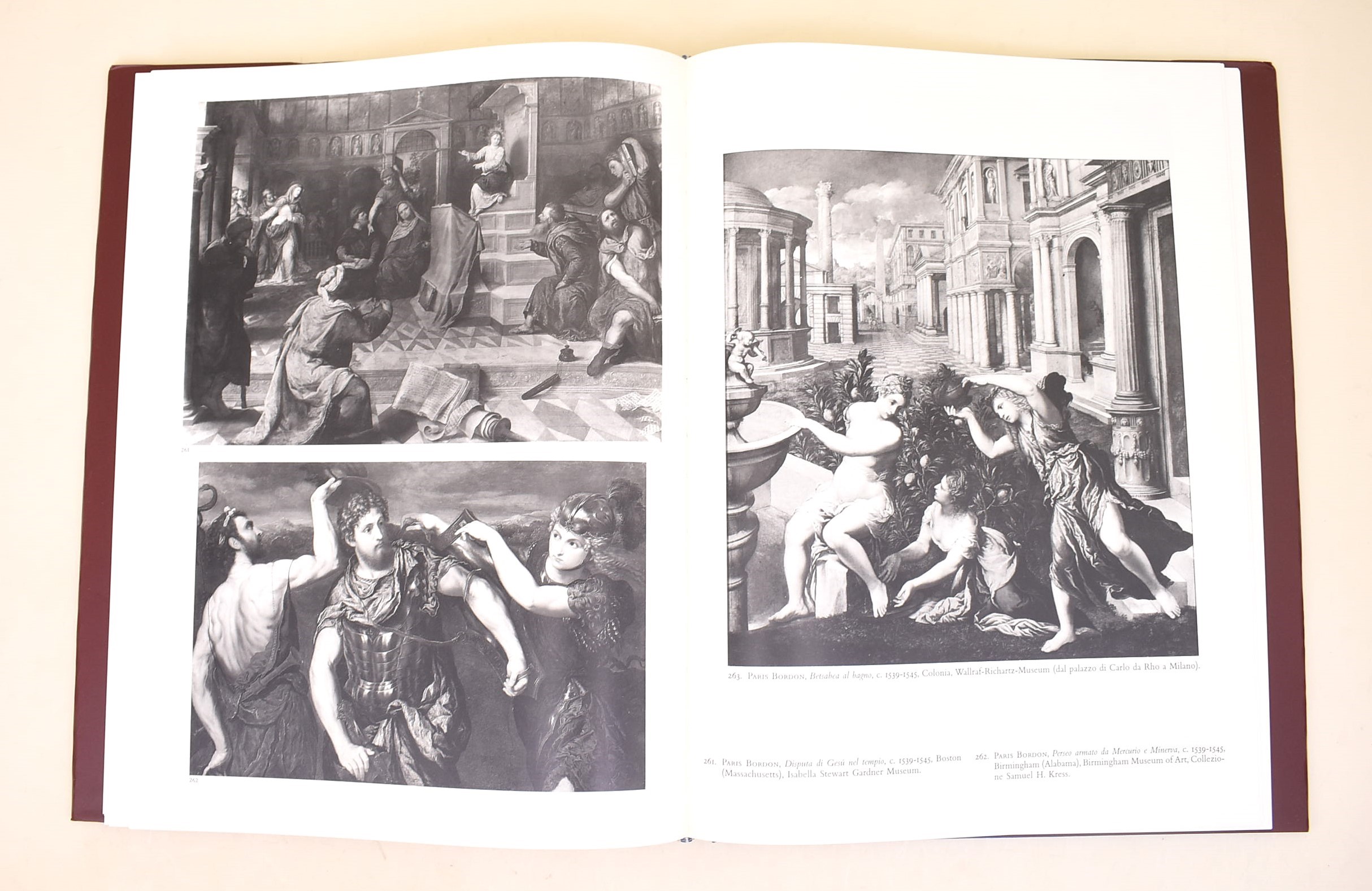Ballarin, Jacopo Bassano, 1995-1996