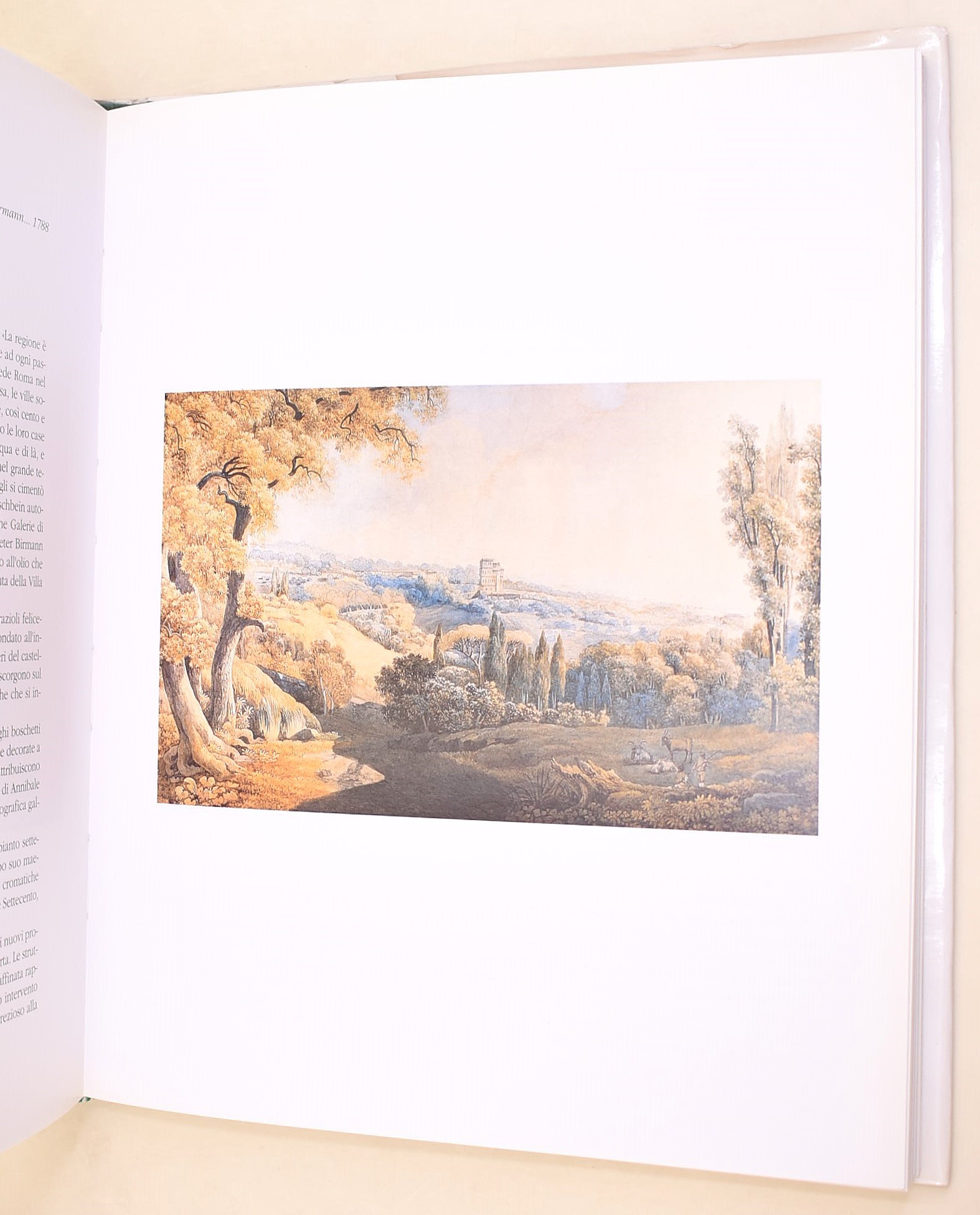 De Rosa, Trastulli: Vincenzo Giovannini (1817-1903) – Dipinti di Roma e Campagna, 2002; La Campag...