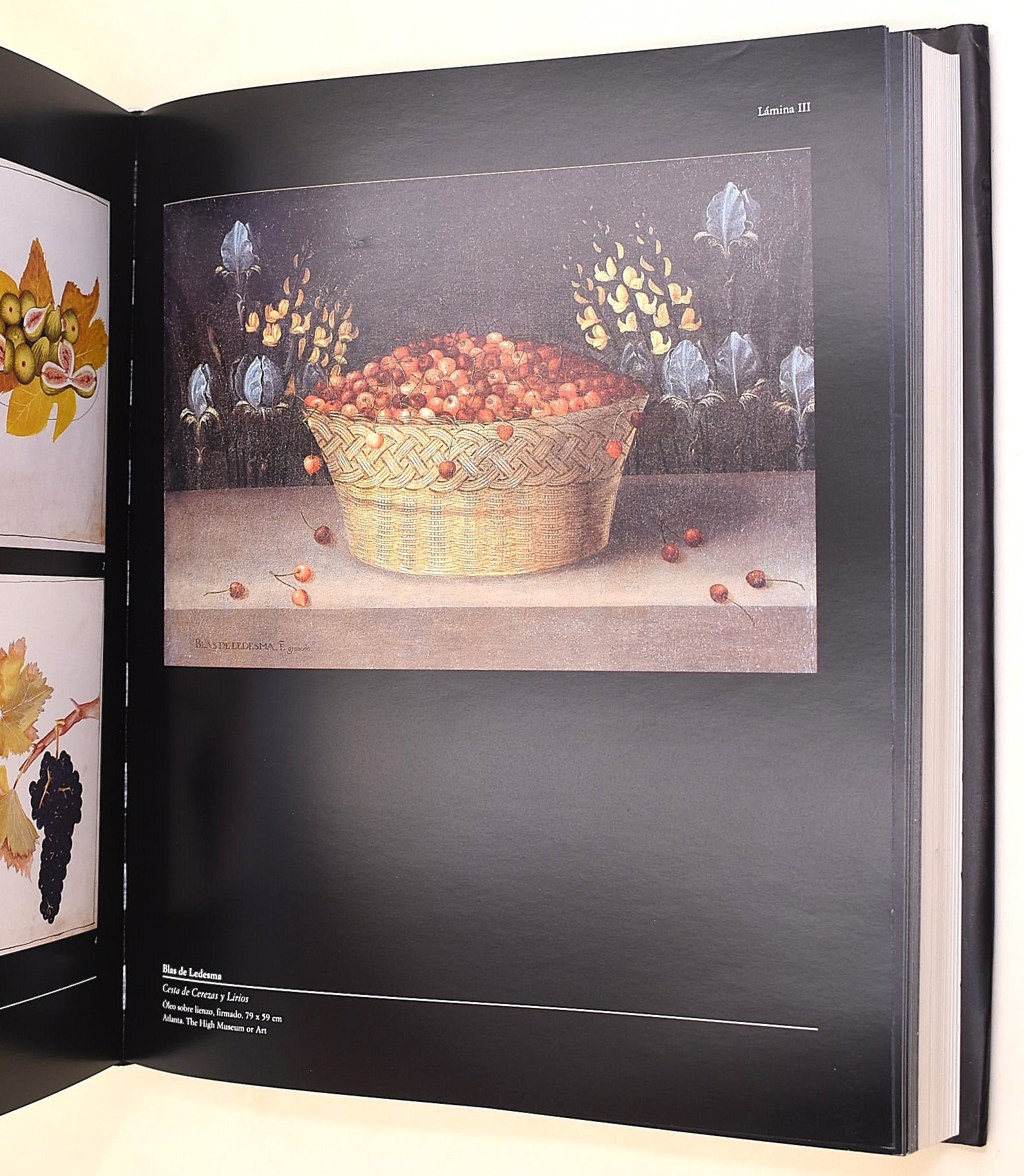 Cherry, Arte y Naturaleza. El Bodegón Español en el Siglo de Oro, 1999