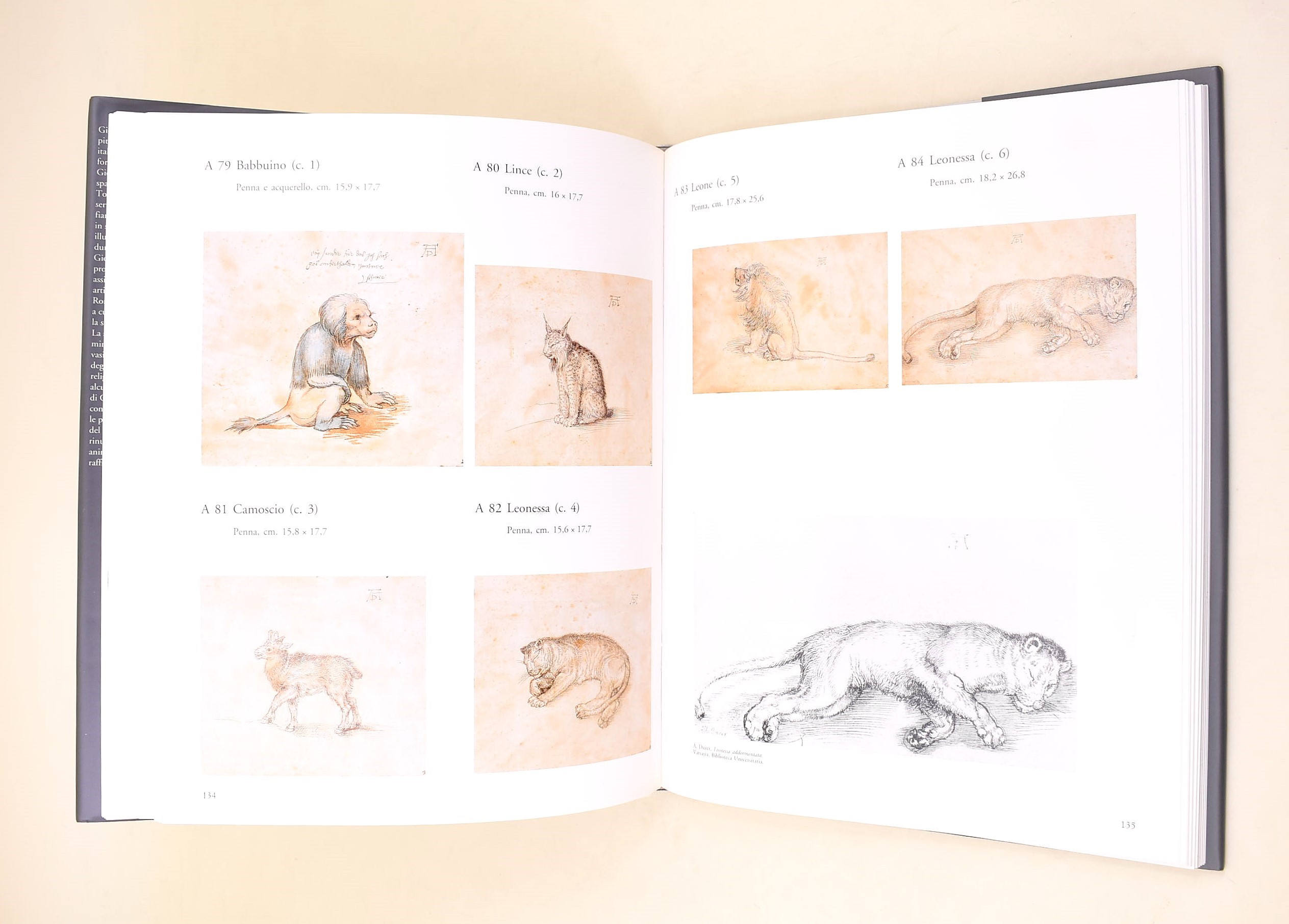 Casale, Gerardo: Giovanna Garzoni «Insigne miniatrice», Libro illustrato, 1991