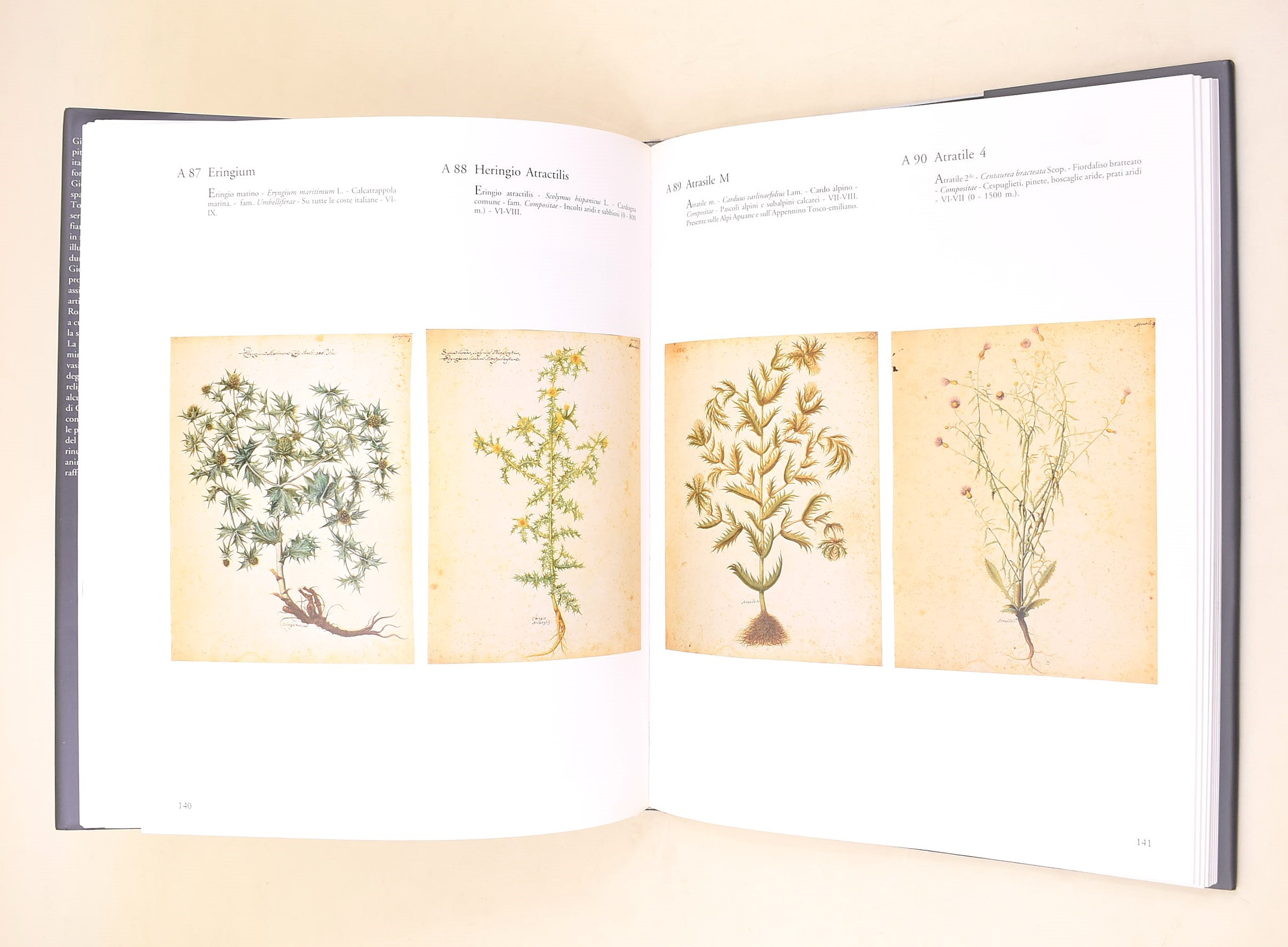 Casale, Gerardo: Giovanna Garzoni «Insigne miniatrice», Libro illustrato, 1991