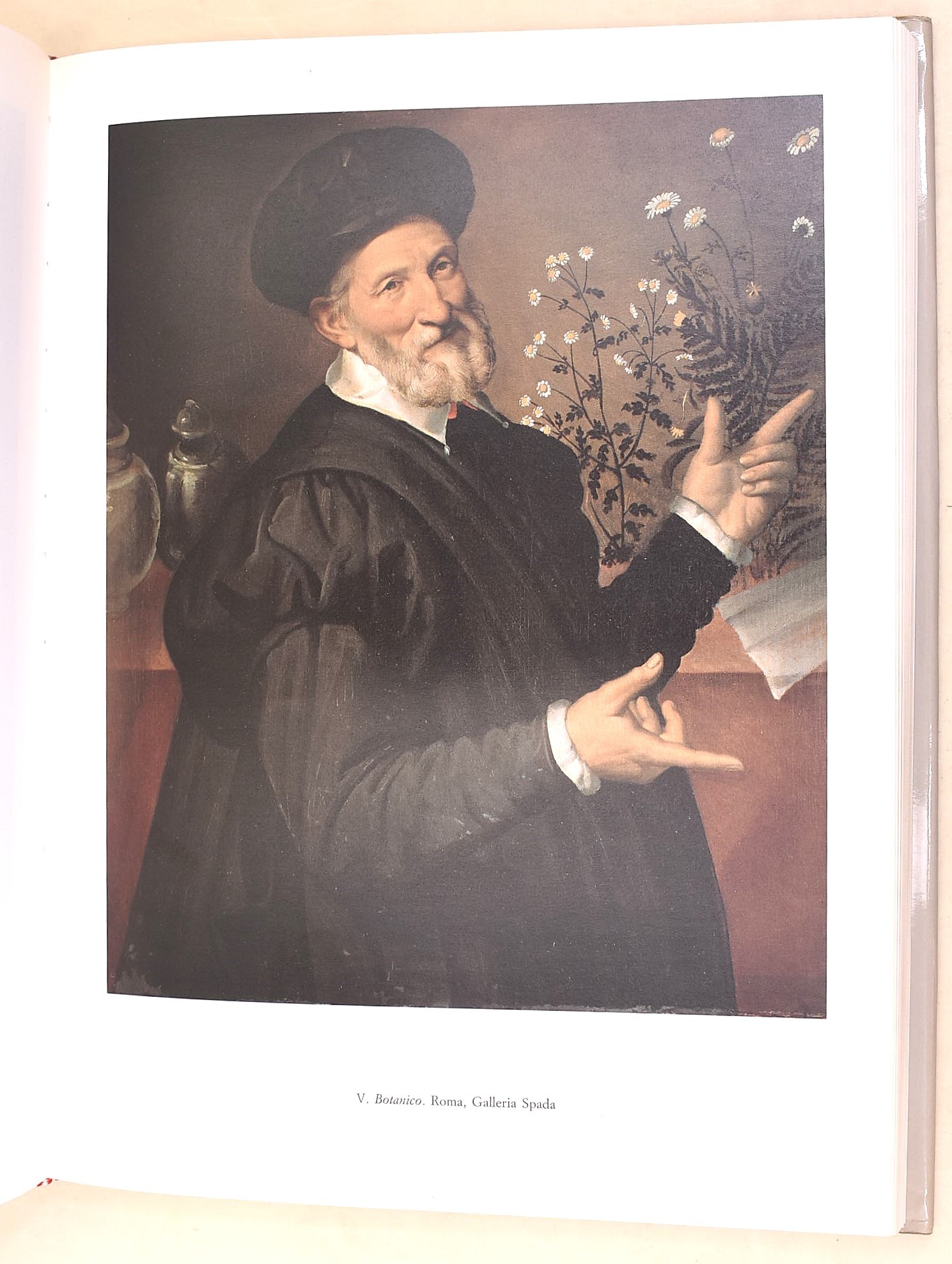 Ghirardi, Catalogo generale di Bartolomeo Passerotti (1529-1592)
