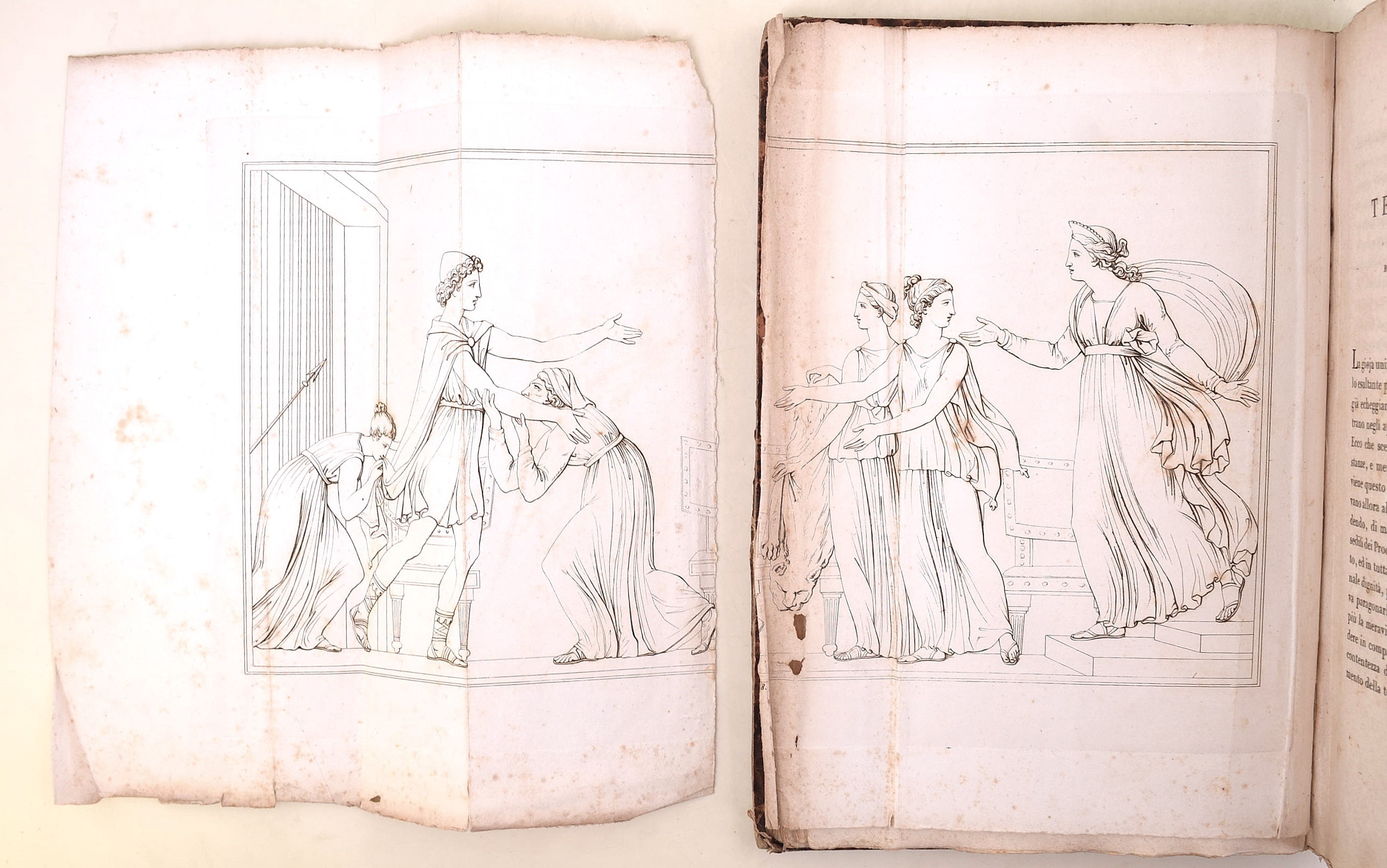 Albrizzi, Isabella: Opere di scultura e di plastica di Antonio Canova descritte da Isabella Albri...