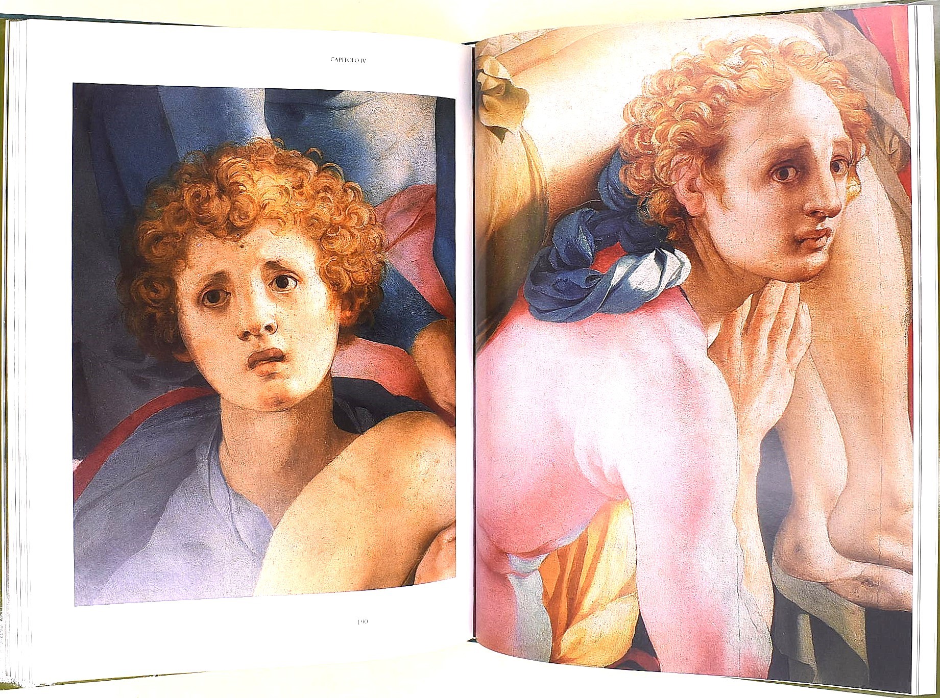 Berti, Luciano e Falciani, Carlo - Natali, Antonio, Pontormo, 1964 e 2014, edizioni illustrate, r...