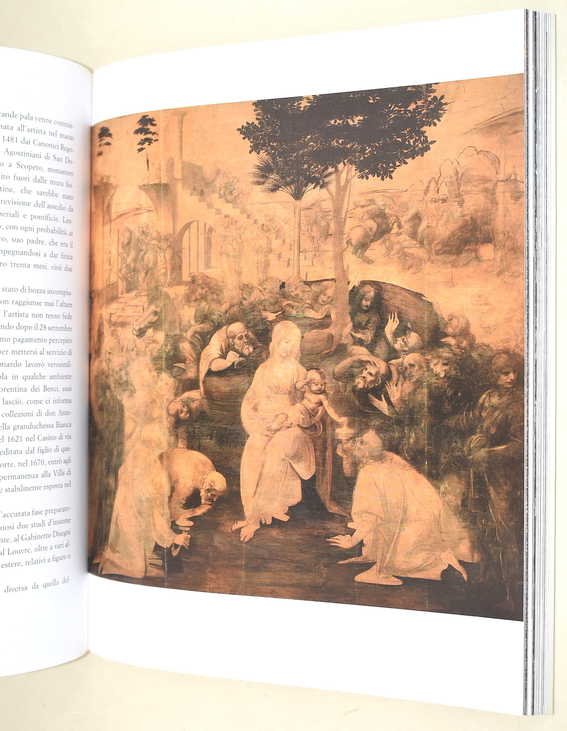 Botticelli e l’età di Lorenzo Il Magnifico, Edizione illustrata, 2007; Tiziano, Prima edizione, 1...