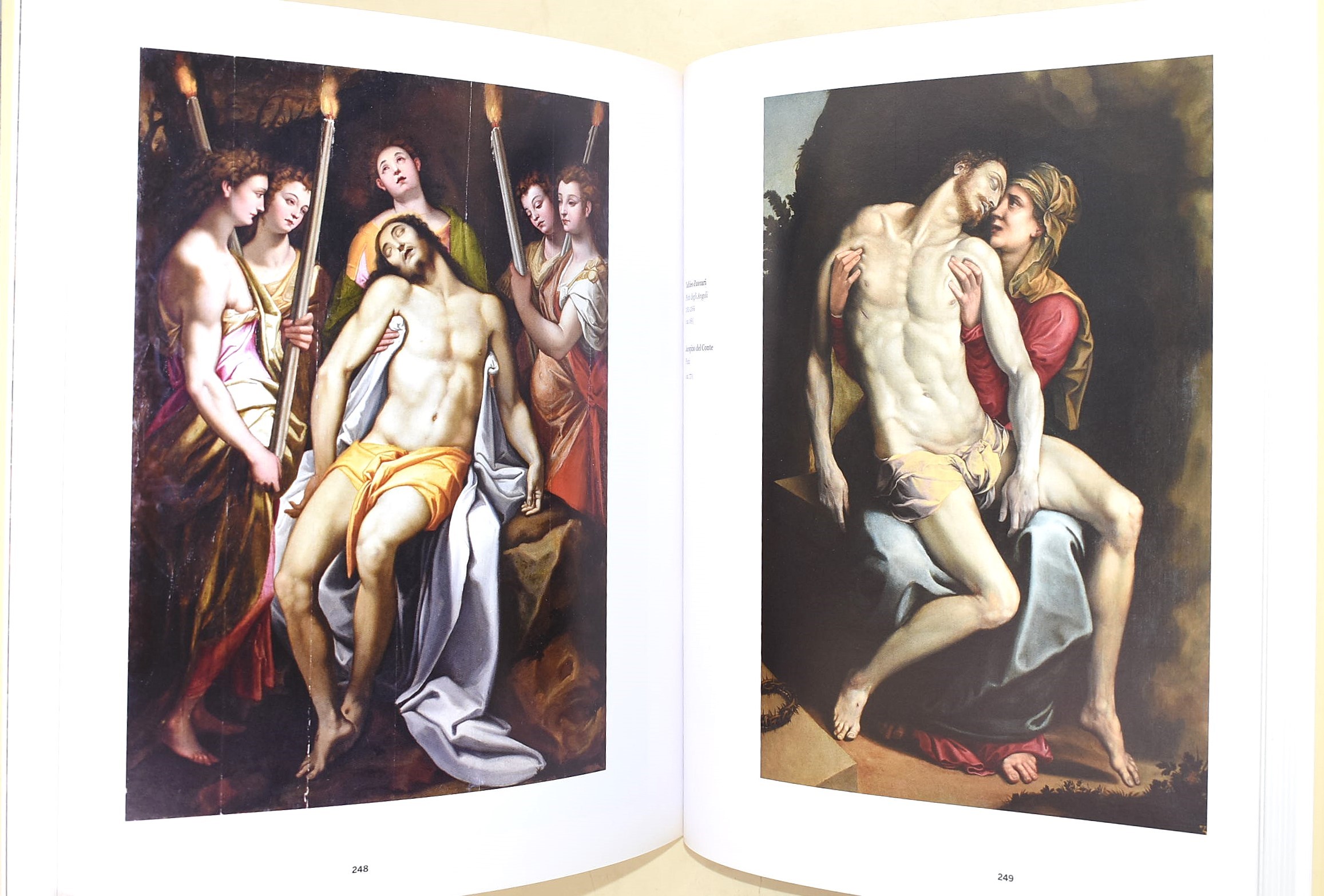 Raffaello, Il Rinascimento a Roma. Nel segno di Michelangelo e Raffaello, 2011 e Raffaello e Urbi...