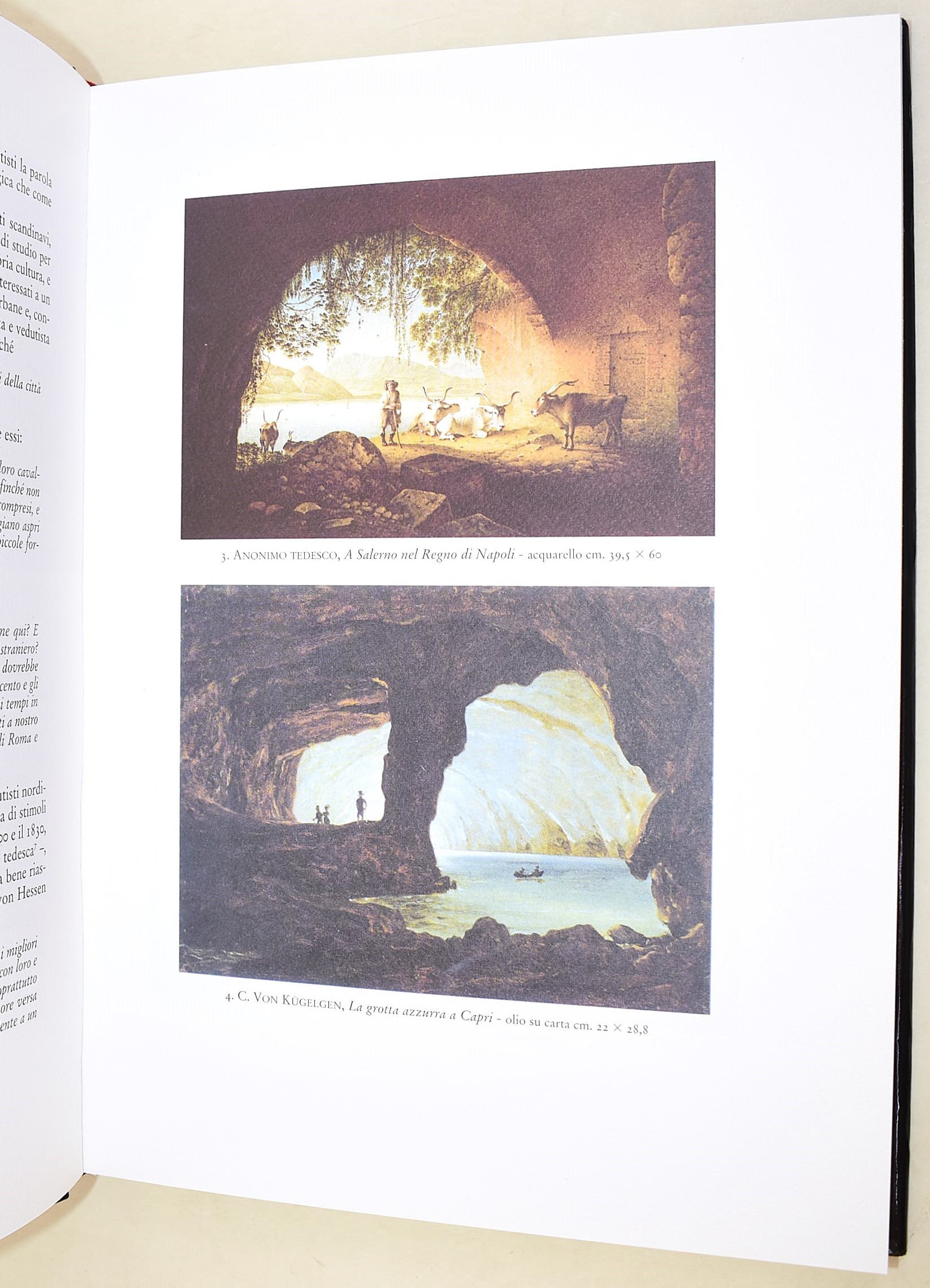 Fino, Lucio: Napoli e dintorni nella pittura nordica, 2012, Volume illustrato in-4°