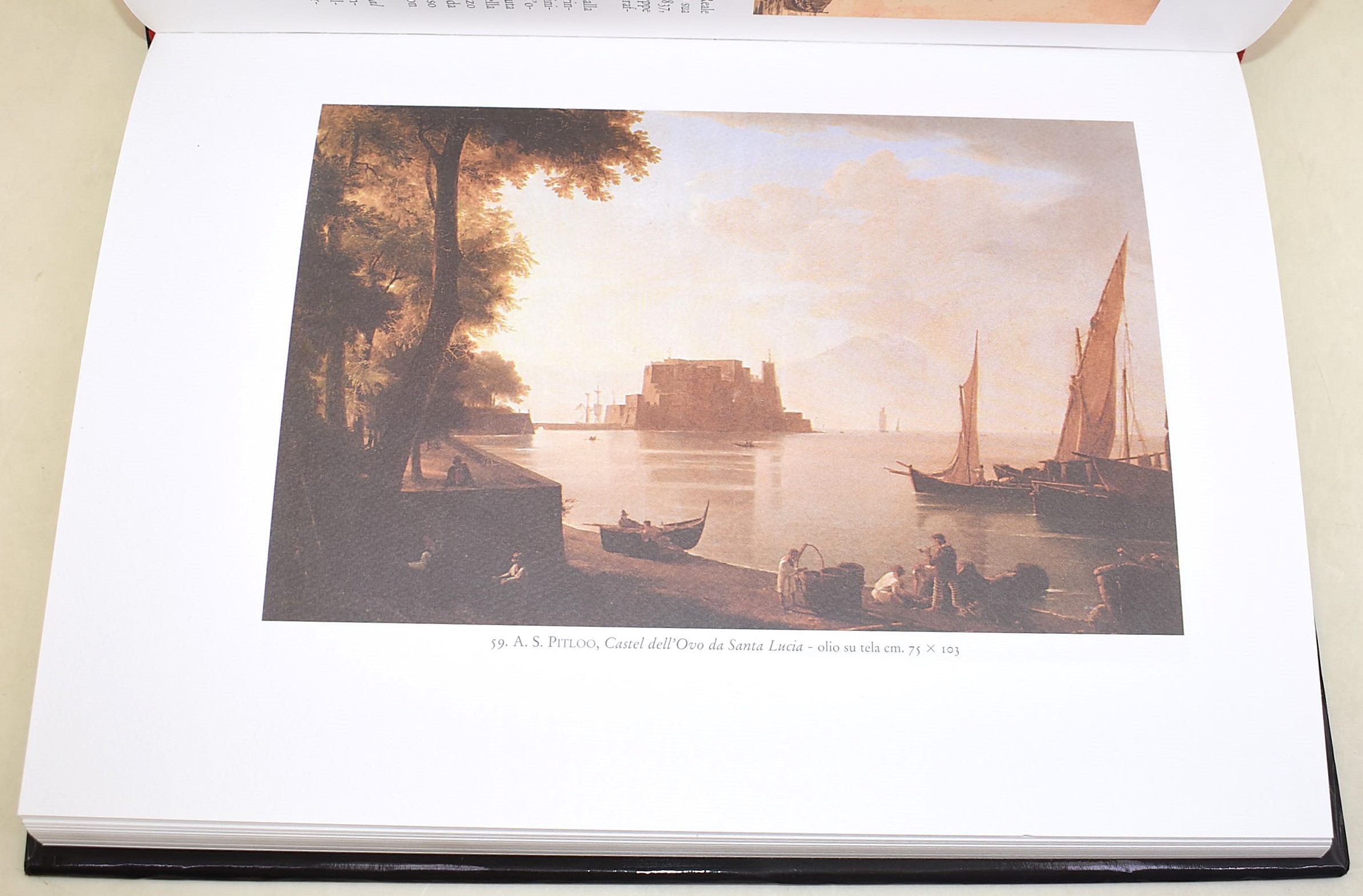 Fino, Lucio: Napoli e dintorni nella pittura nordica, 2012, Volume illustrato in-4°