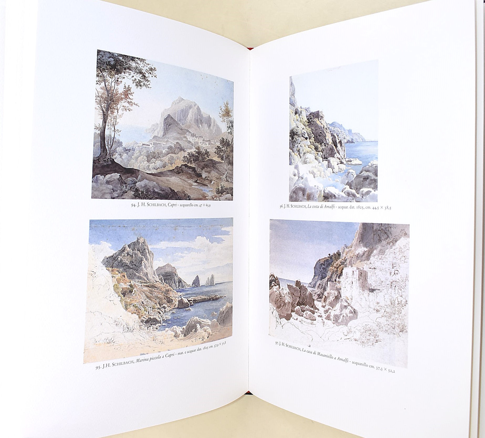 Fino, Lucio: Napoli e dintorni nella pittura nordica, 2012, Volume illustrato in-4°