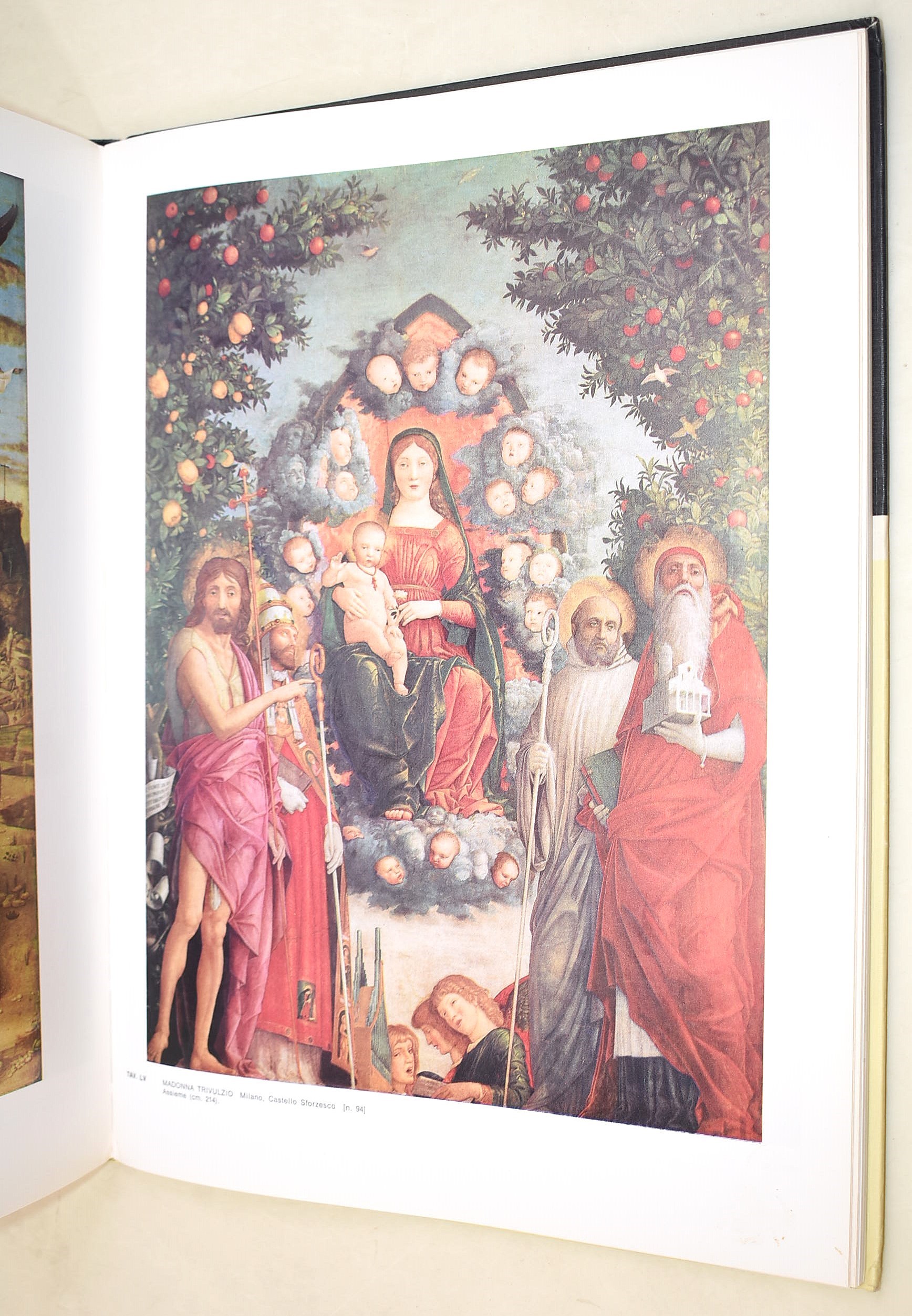 Mantegna, L’opera completa, 1967; Segantini, L’opera completa, 1973