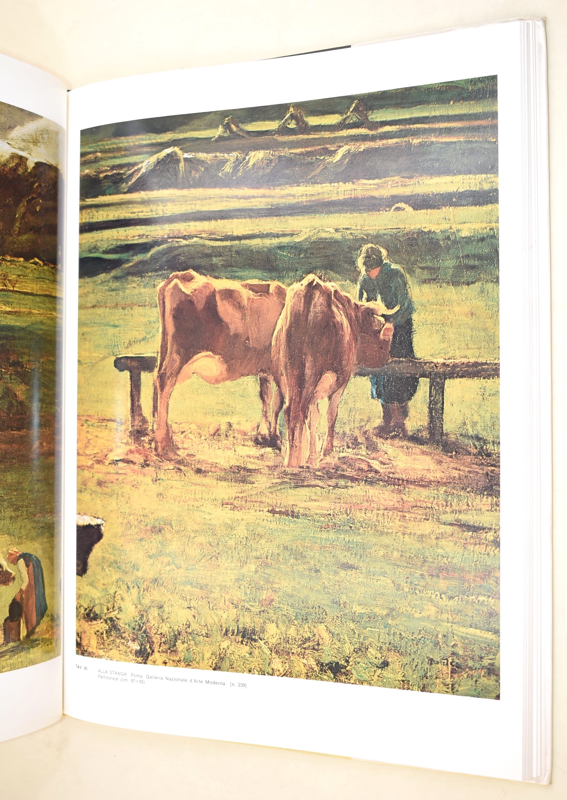 Mantegna, L’opera completa, 1967; Segantini, L’opera completa, 1973