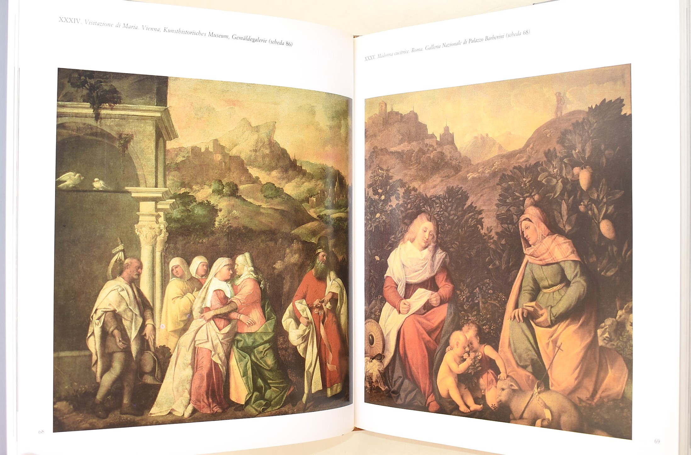 Rossi, Francesco e Pallucchini, Rodolfo: Giovanni Cariani, monografia illustrata, 1983