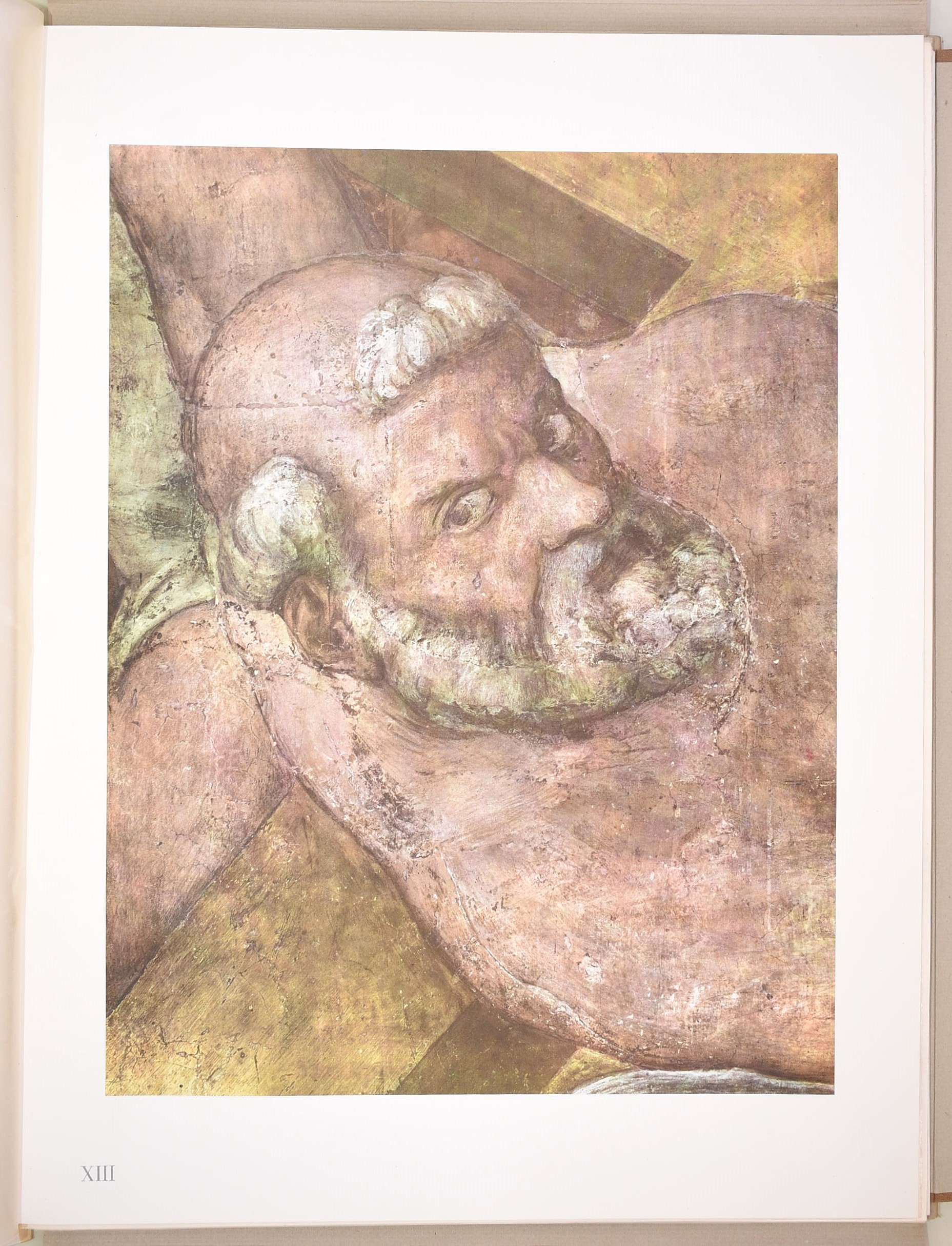 Michelangelo Buonarroti, Pubblicazione illustrata del 1952