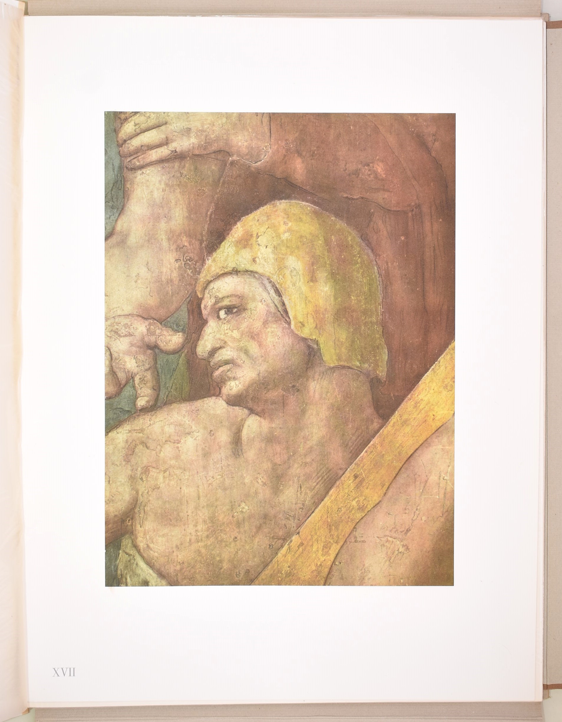 Michelangelo Buonarroti, Pubblicazione illustrata del 1952
