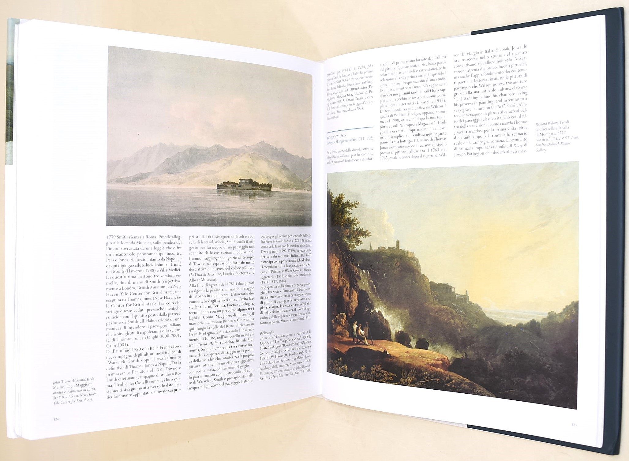 Ludovica Trezzani, La Pittura di Paesaggio in Italia. Il Seicento; Anna Ottani Cavina ed Emilia C...