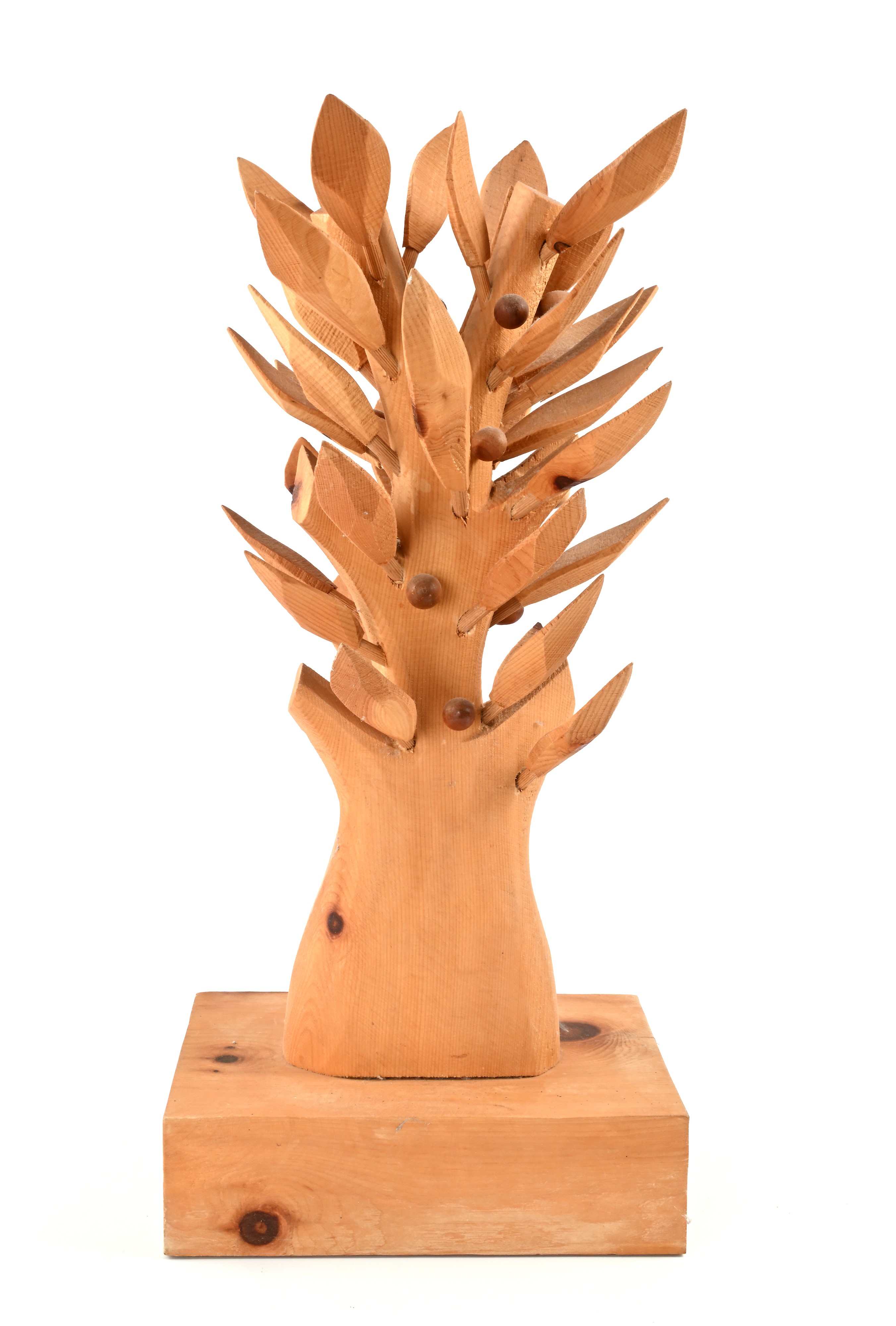 Albero