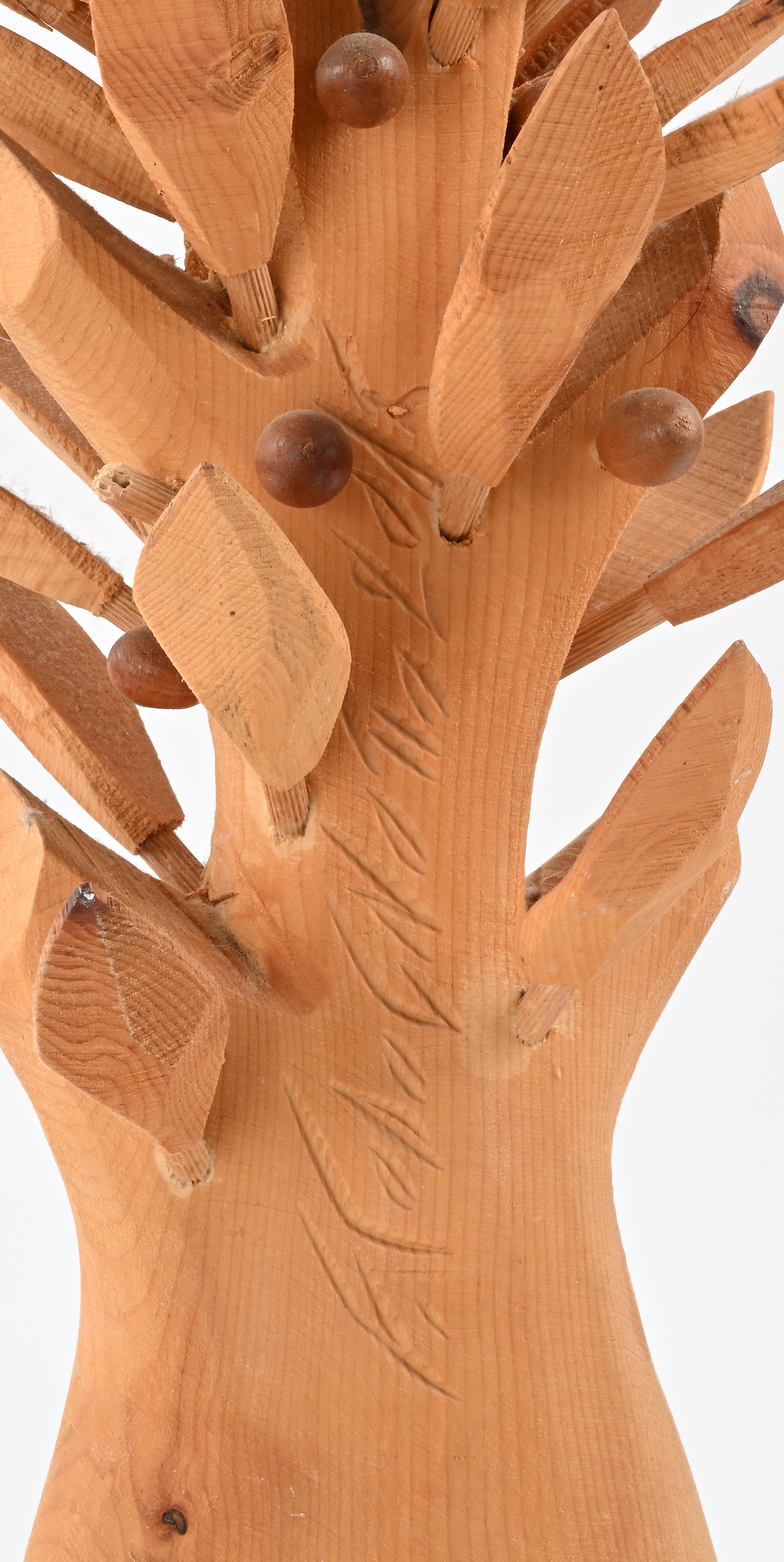 Albero