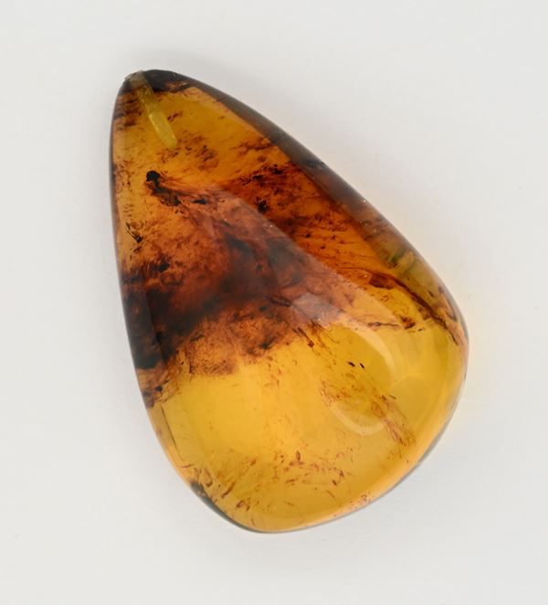 Un copale con testa di termite